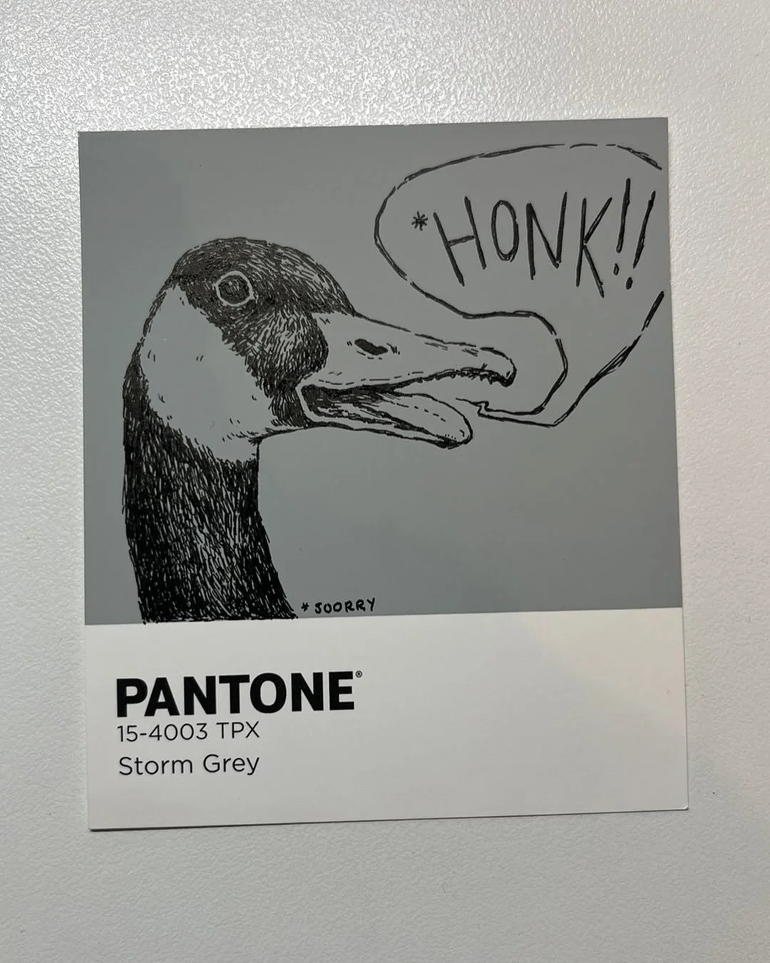 HONK! Another old drawing I forgot I did last year 

#goose #drawing #ink