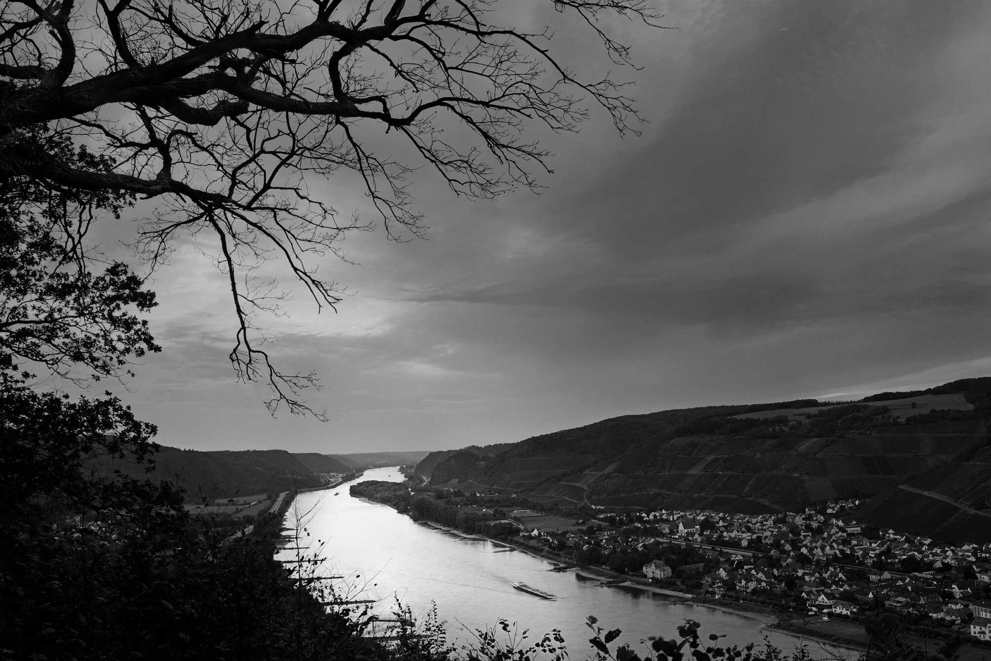 Martin Sturm späteres Backup-18.jpg