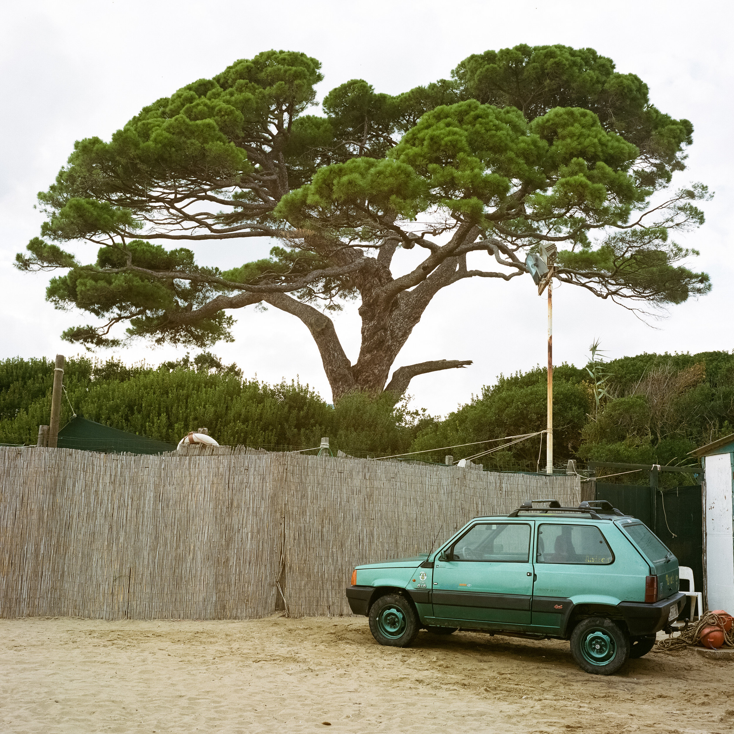 Elba Italien-137.jpg