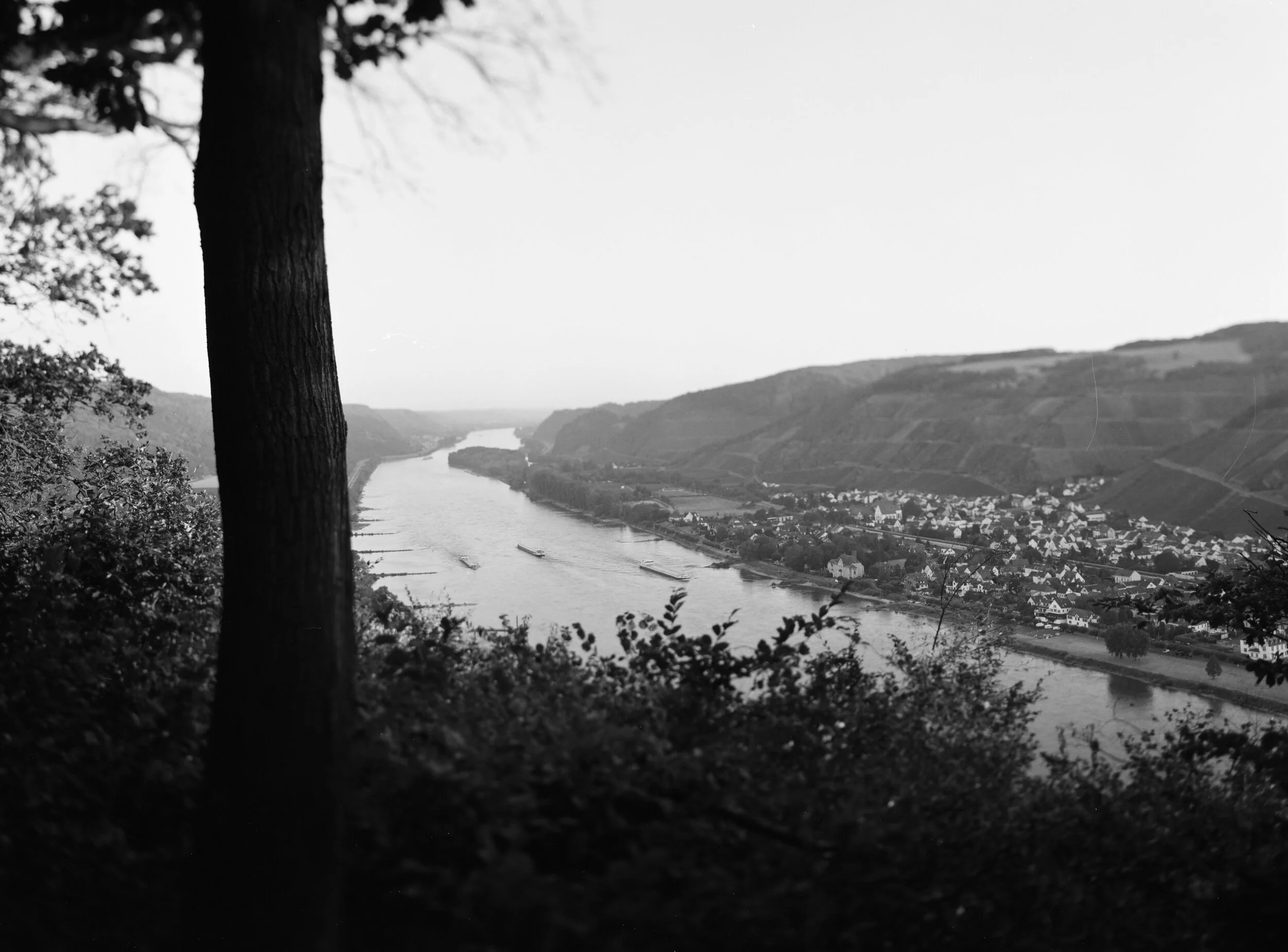 Martin Sturm Rhein Andernach-29.jpg