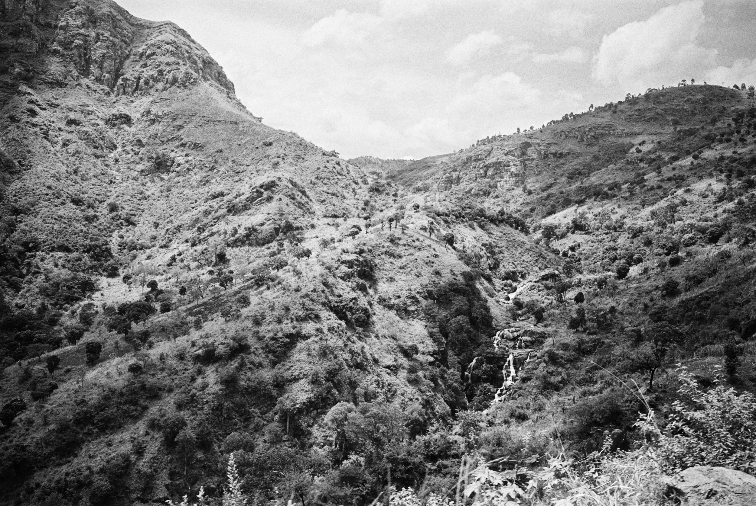 Im Usambara-Gebirge.