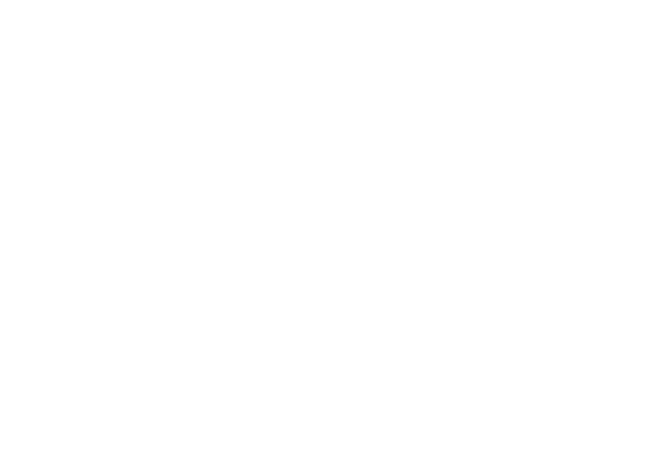South West LLEN