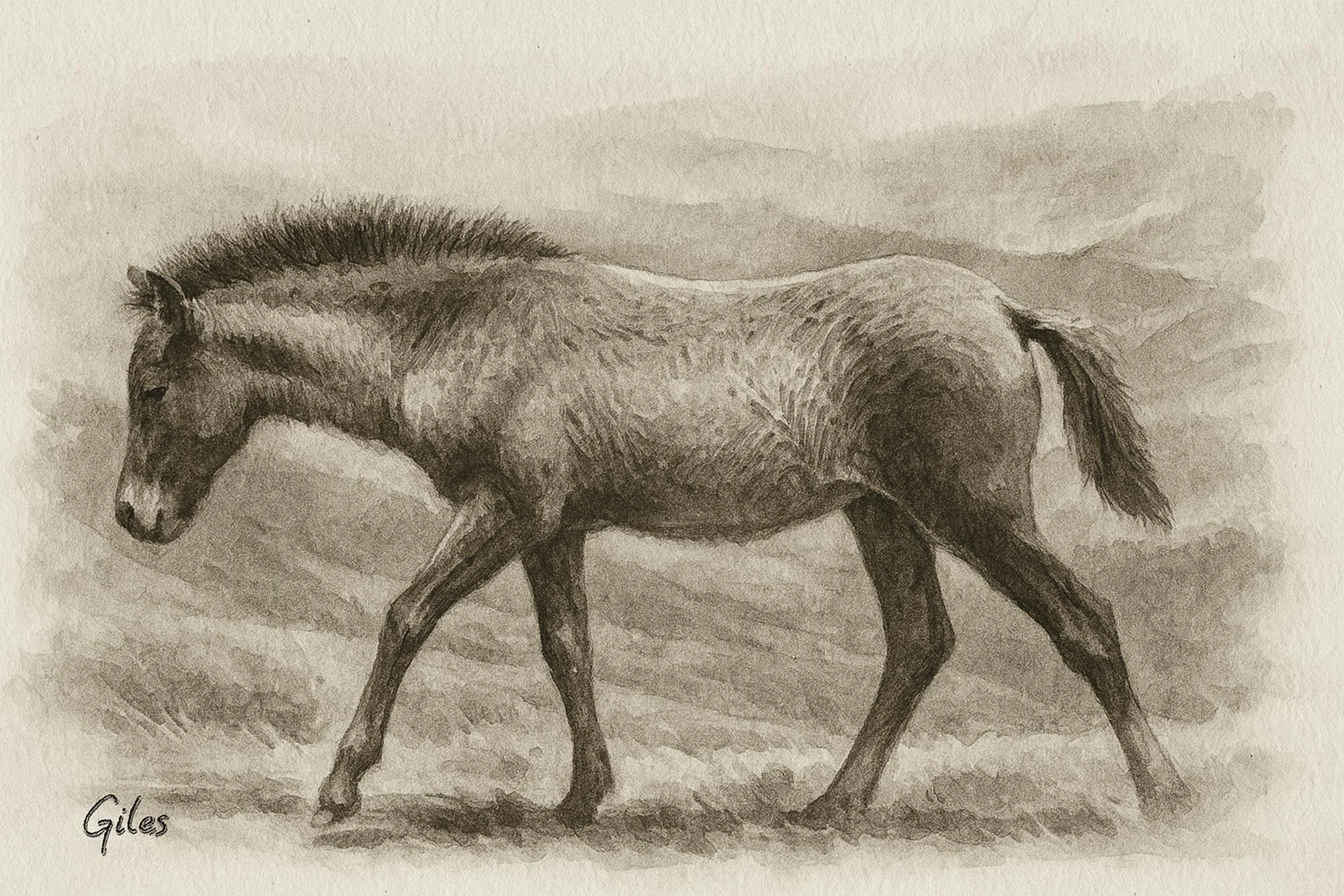 Realistic pencil sketch of a Guizhou Pony in mid-step, shown in profile with a misty, mountainous background.
