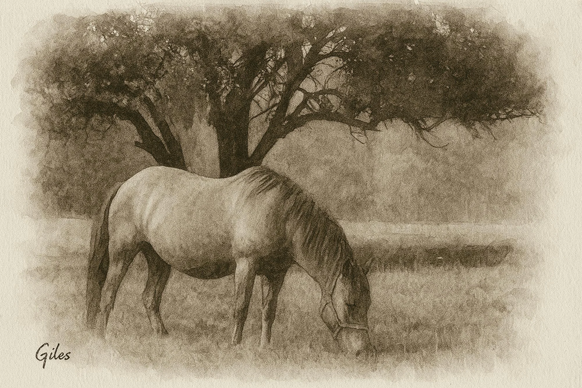 Rustic sketch of a Carpathian Pony grazing peacefully under a broad tree, with deep contrast and natural setting.