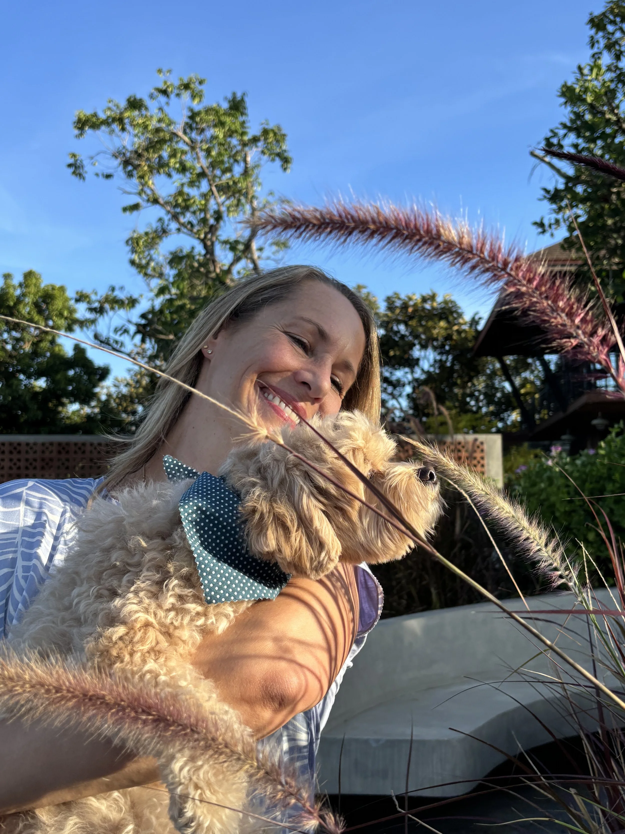 Drowning in the Daily? Find Your Pause Button. 🪷