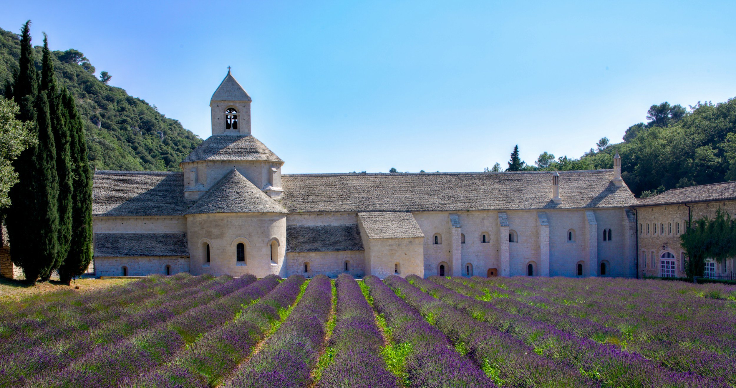 A historic stone church with a bell tower surrounded by a Provence lavender field with mountain and trees in the background under a clear blue sky.