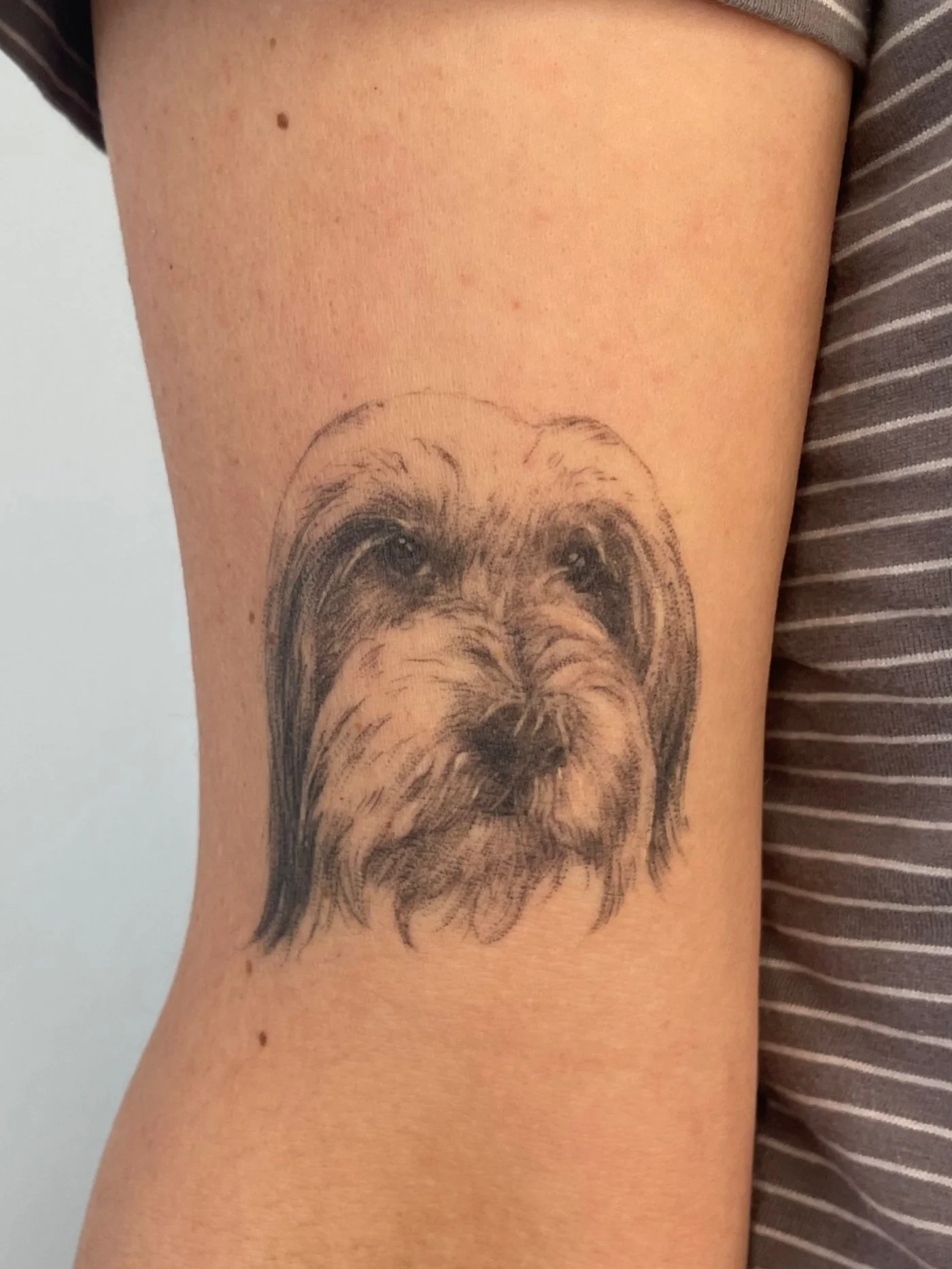 Tattoo eines Hundegesichts auf einem Oberarm