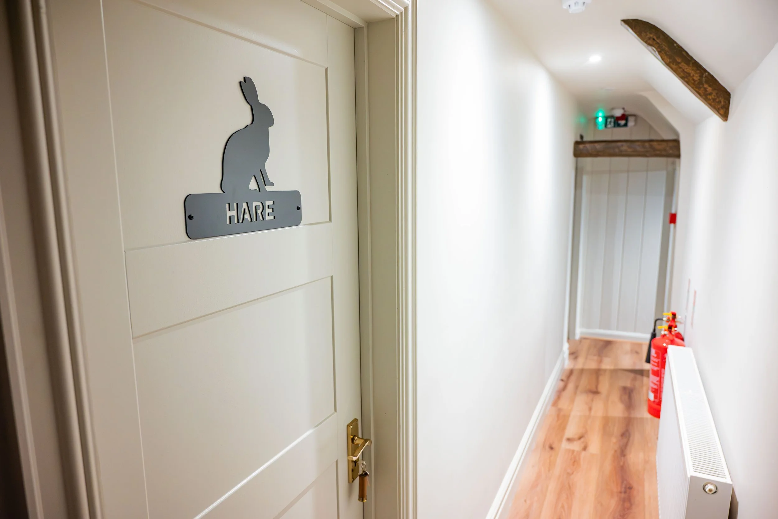 The Hare-47.jpg