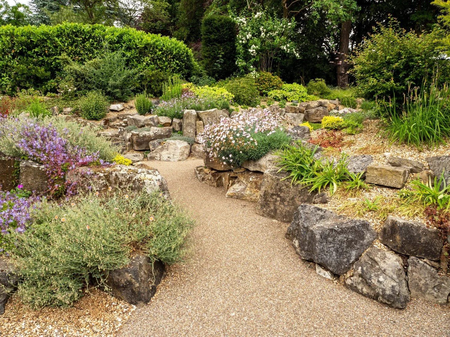 A beautifully landscaped rockery garden featuring a winding gravel path surrounded by various rocks, colorful flowers, and lush greenery.