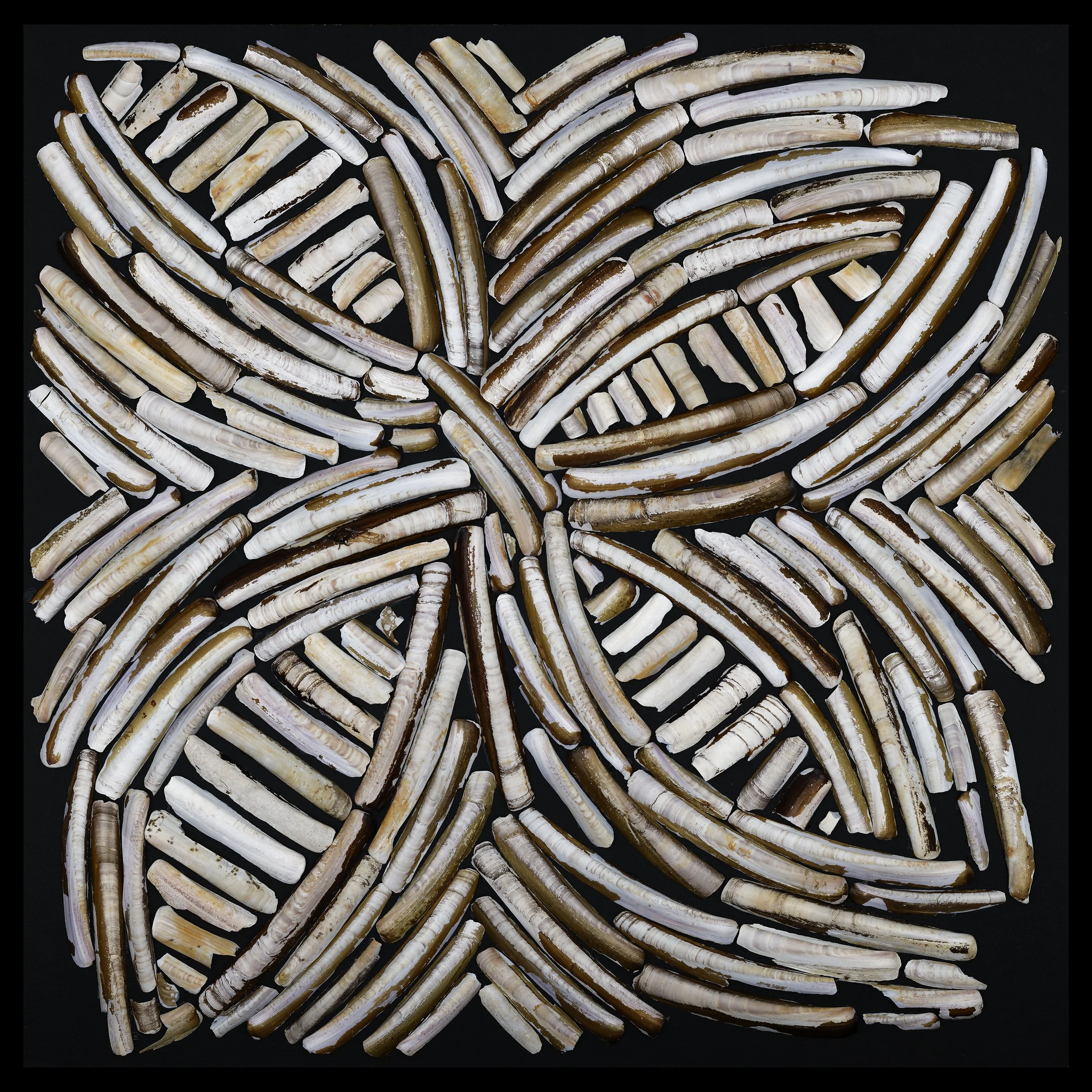 Atlantischer Stern, 2020