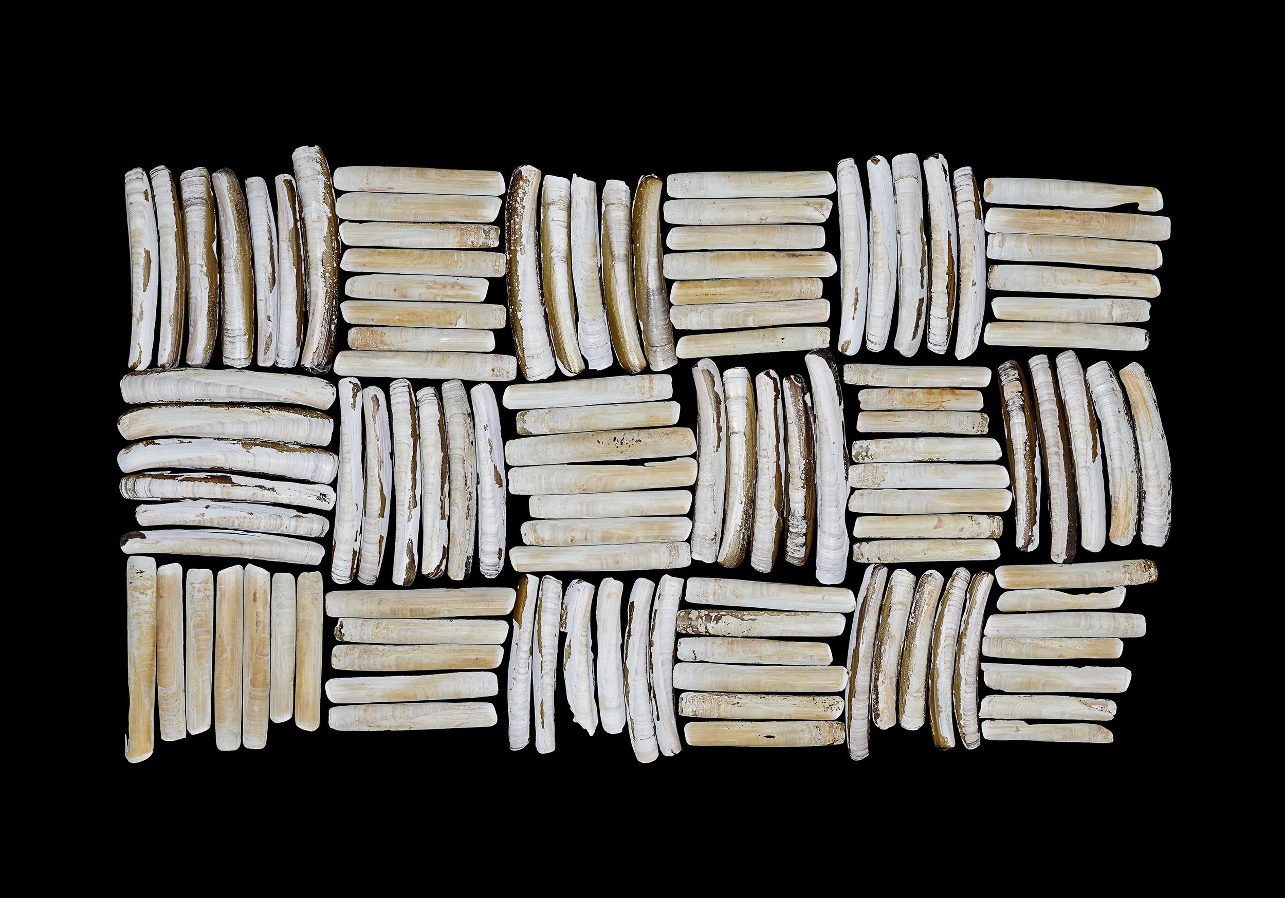 Normannische Textur, 2012