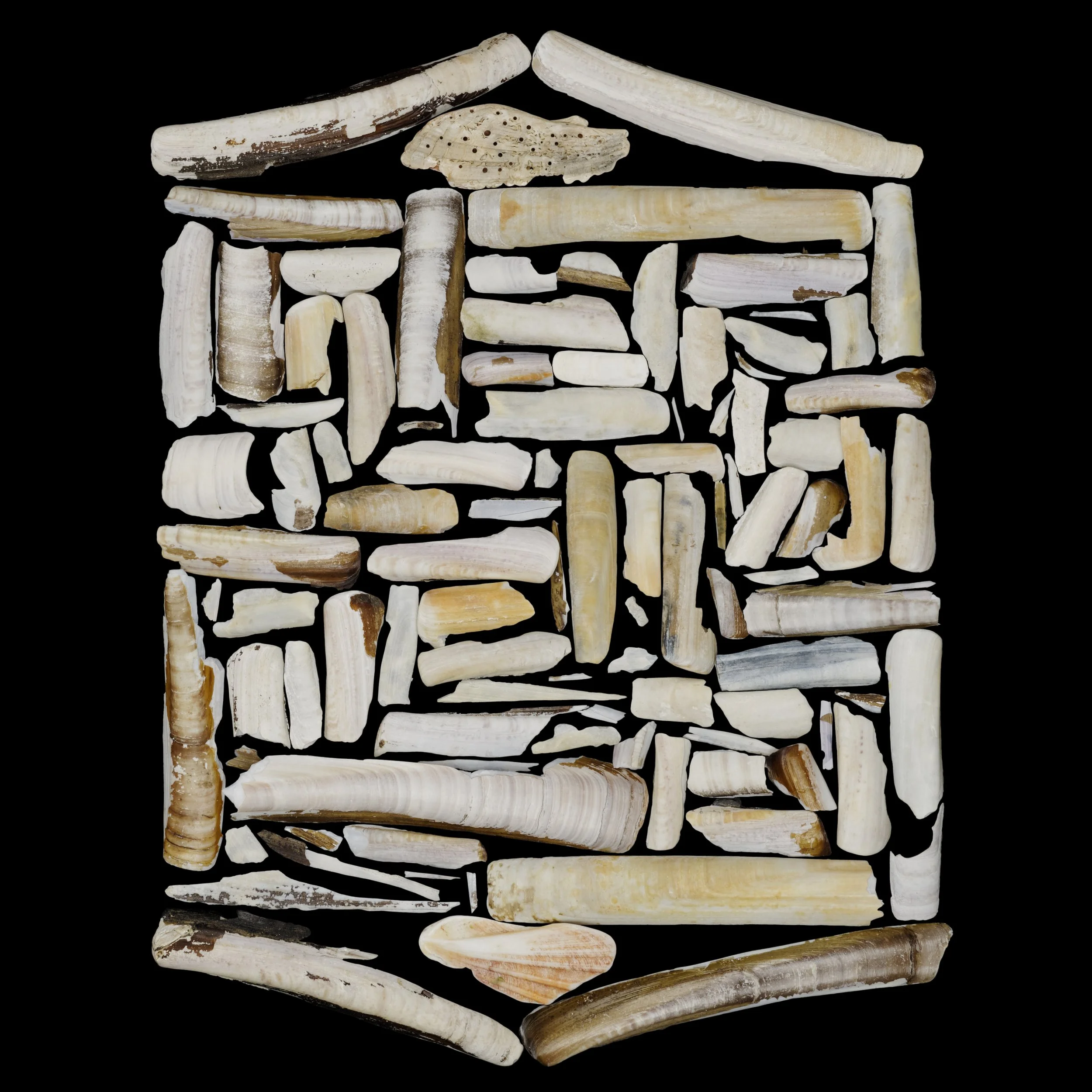 Haus des Lebens, 2012