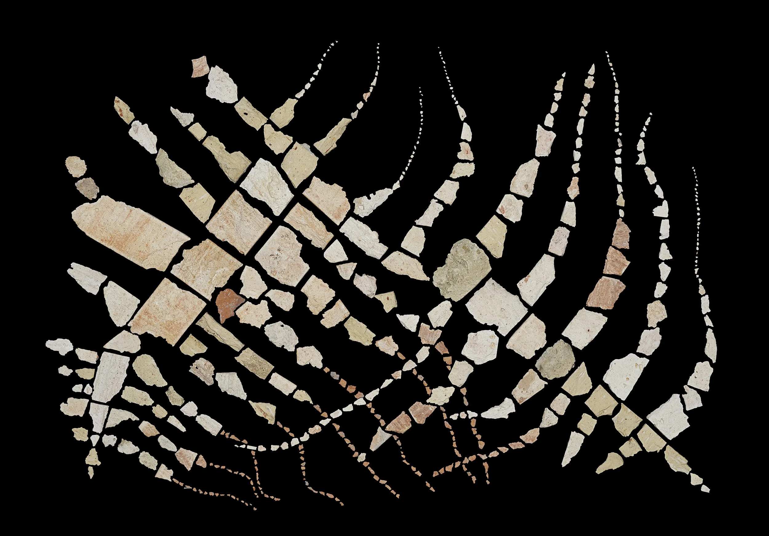 Gottesanbeterin oder die bange Frage...Willst du mit mir gehen?, 2003