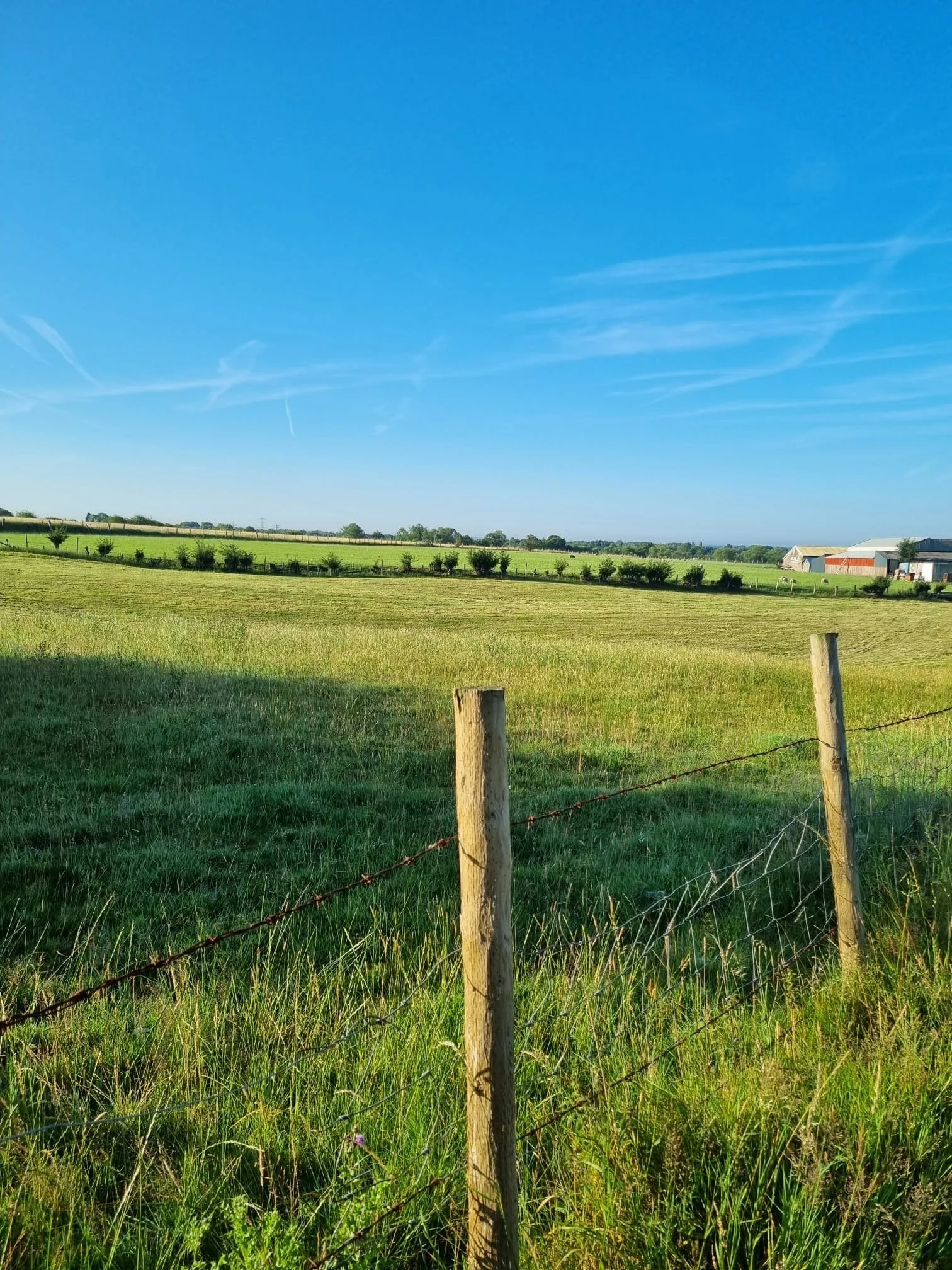 Green pasture with a barbed wire fence, scattered trees, and farm buildings under a clear blue sky.