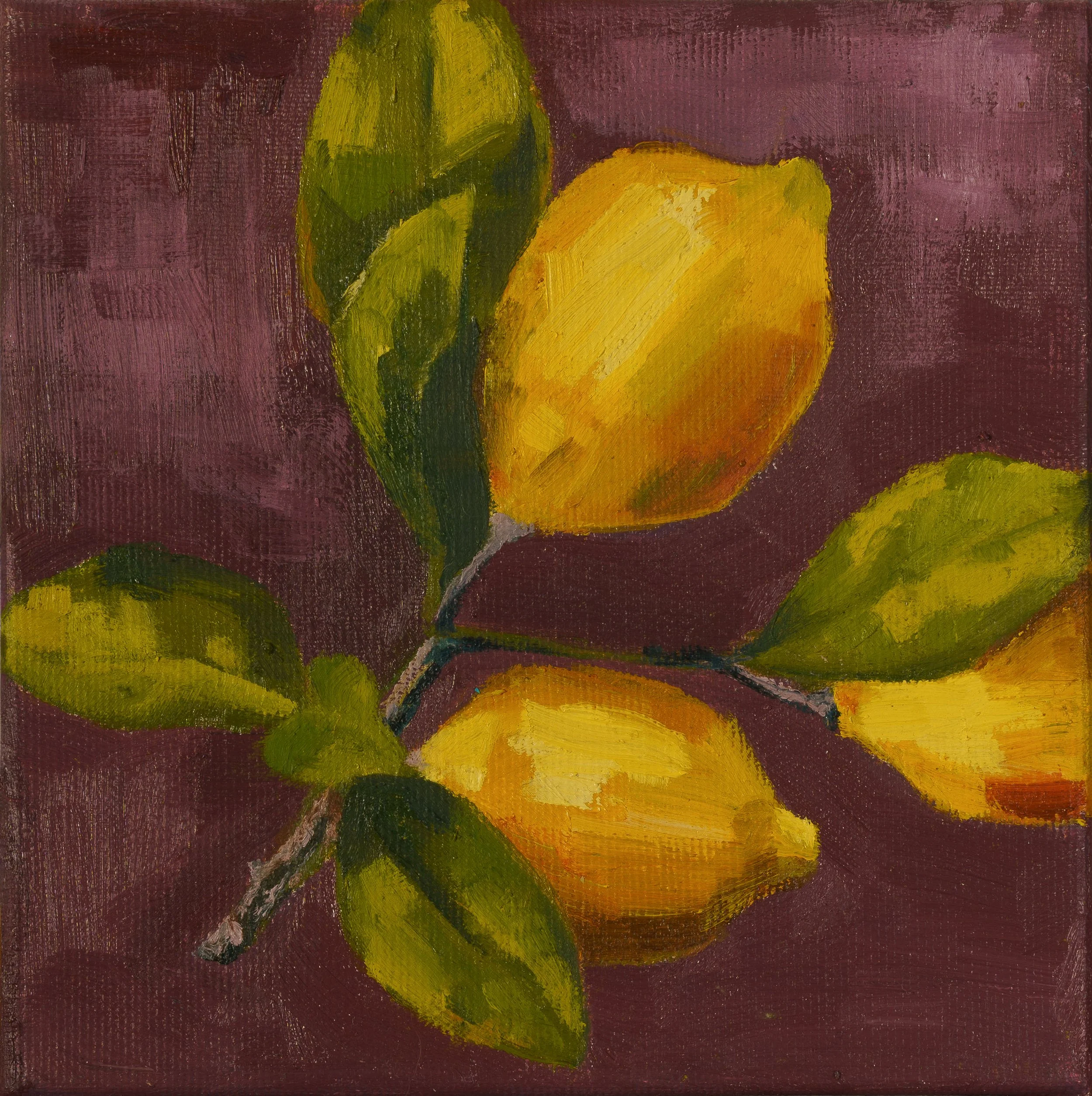 Lemons | 16x16cm