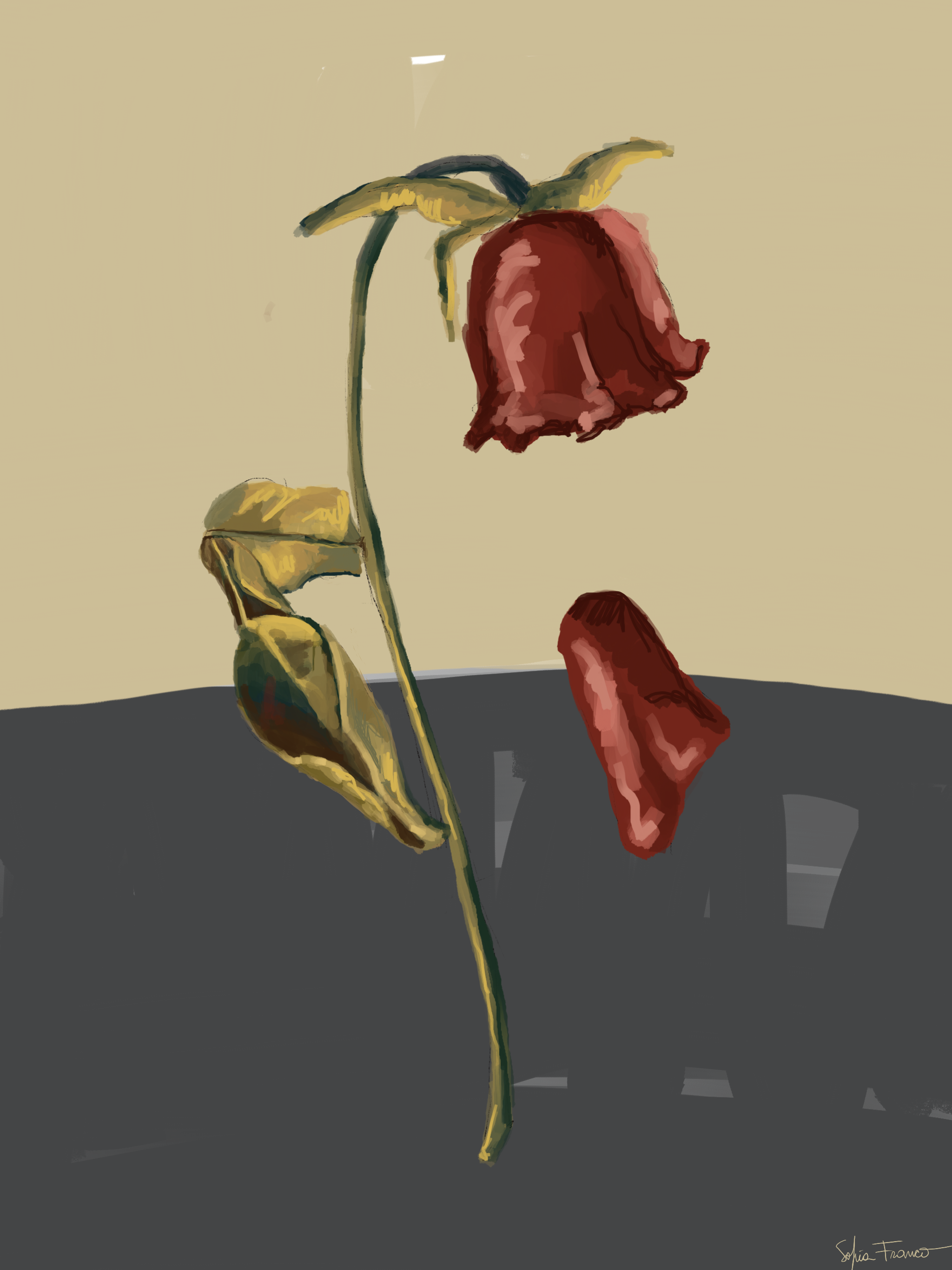 Some roses never lives | 30x40cm
