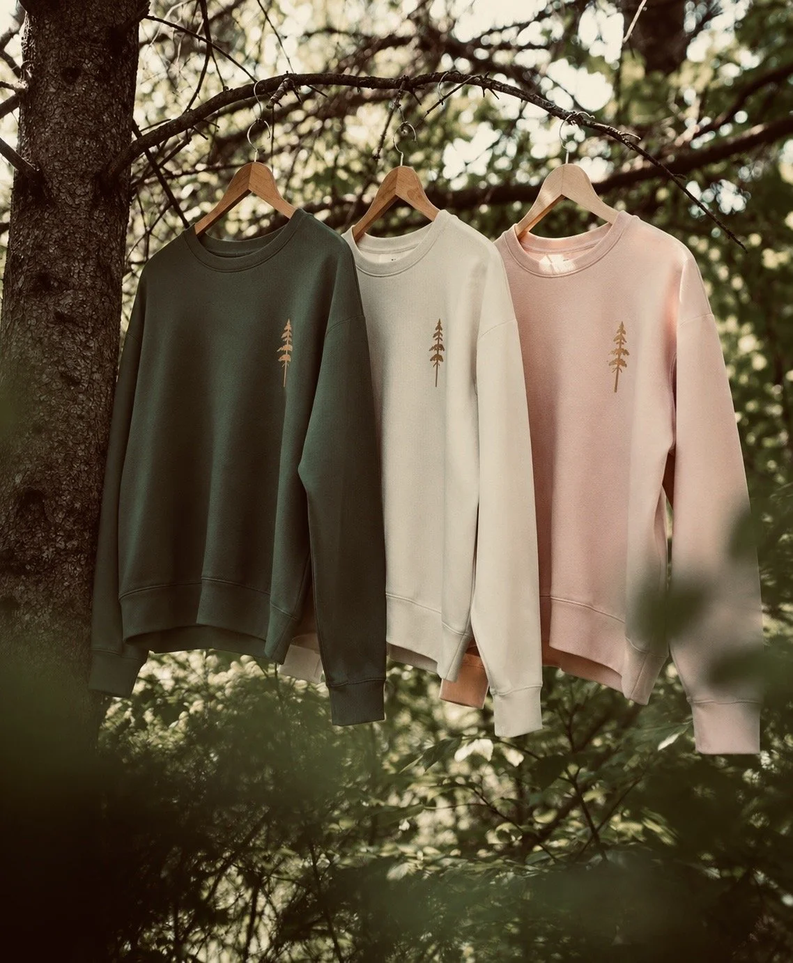 women’s  redwood crewneck