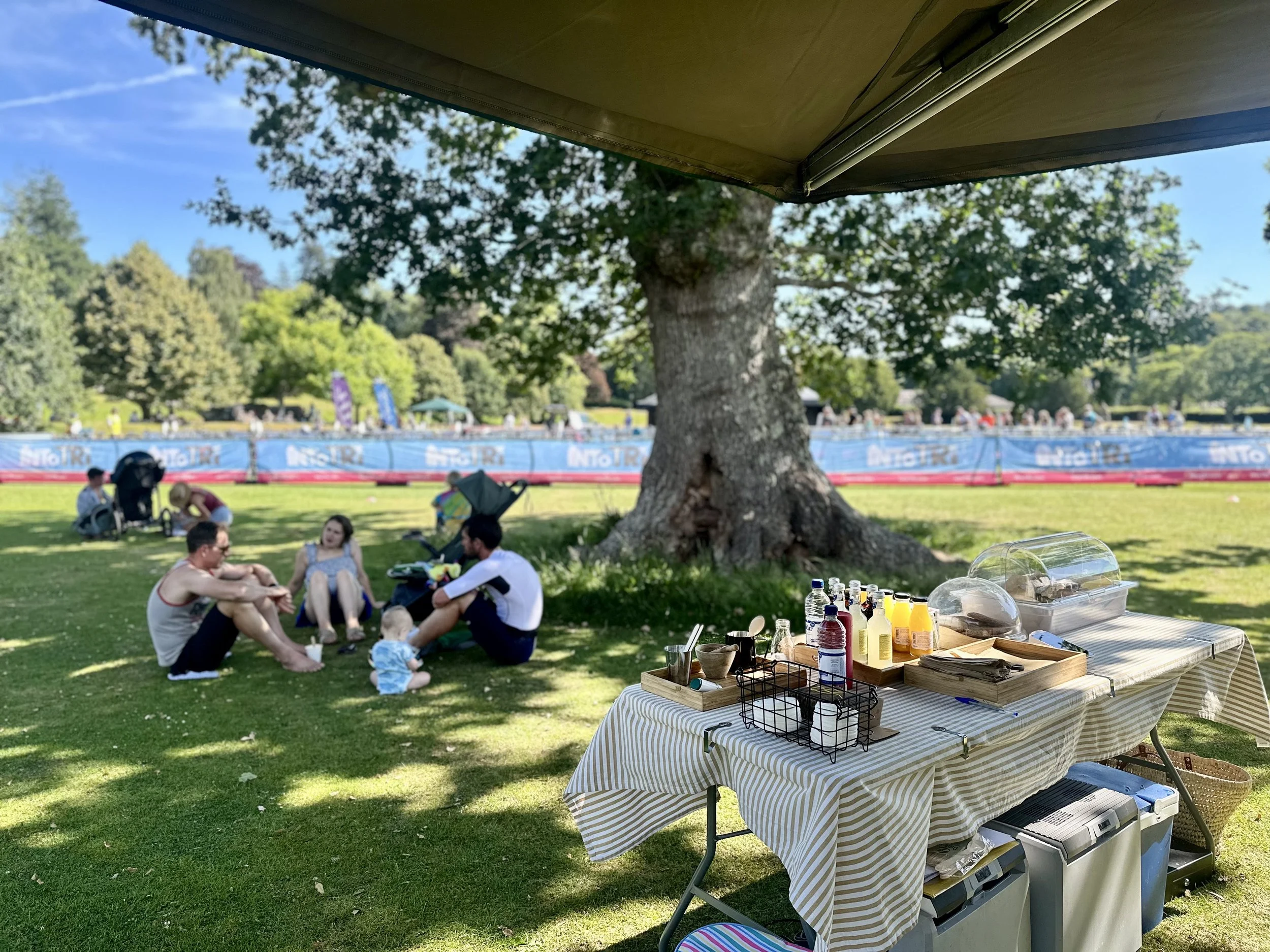 A picnic scene in a park with a table of food and drinks in the foreground, and a group of people sitting and chatting under a large tree in the background, with a sporting event barrier and spectators behind them.