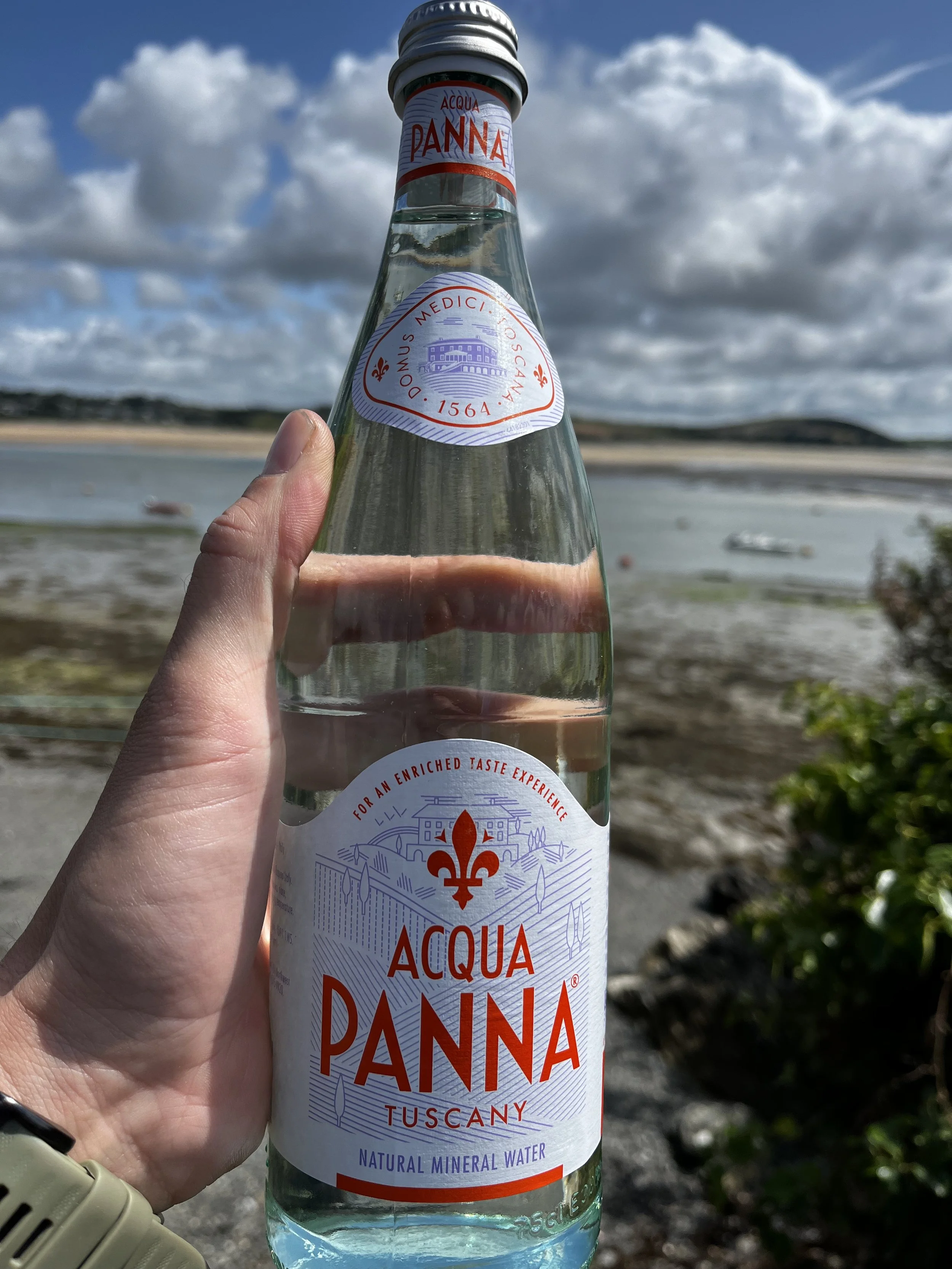 Hand holding a bottle of Acqua Panna natural mineral water outdoors, with a scenic landscape of water, cloudy sky, and distant hills in the background.