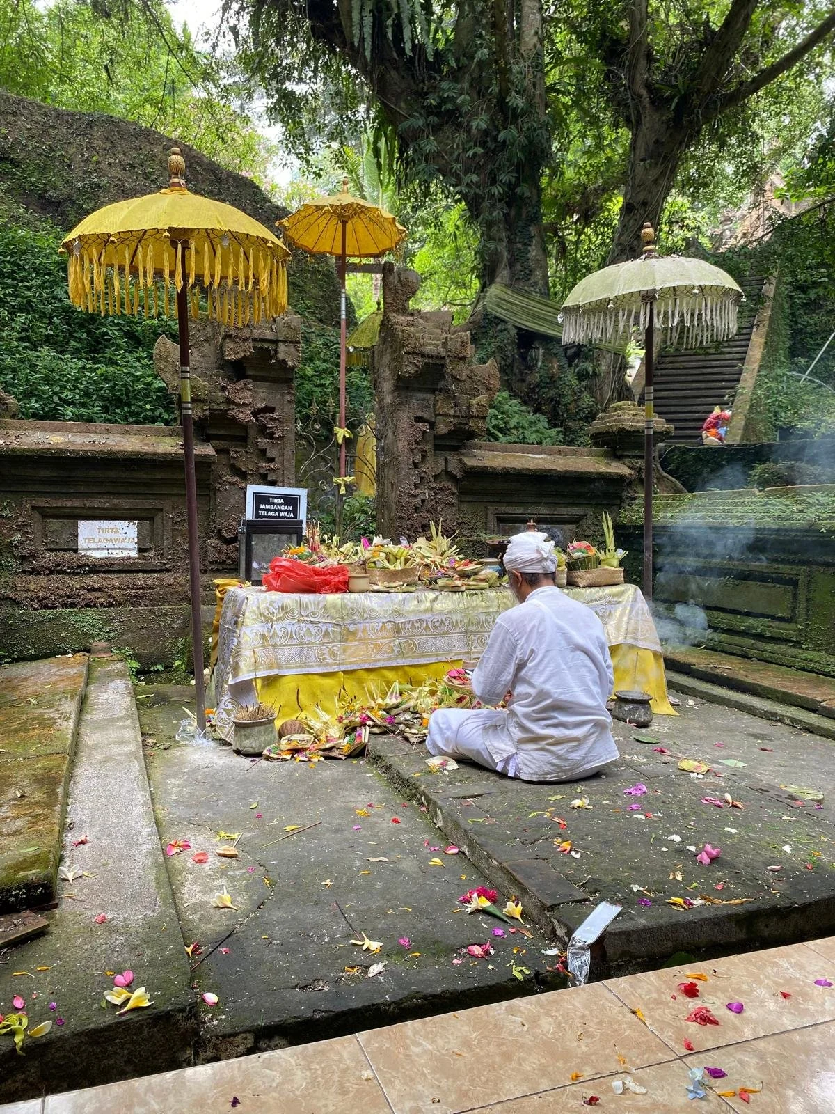 WhatsApp Image 2026-01-16 at 10.41.11 PM.jpeg