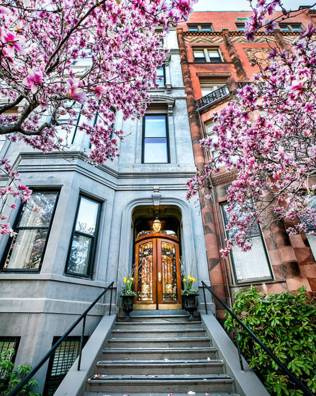There&rsquo;s something about Jersey City in the spring&hellip; 🌸

The brownstones, the tree-lined streets, the cherry blossoms starting to show up on every block&mdash; everything just feels a little lighter, a little more alive.

It&rsquo;s that m
