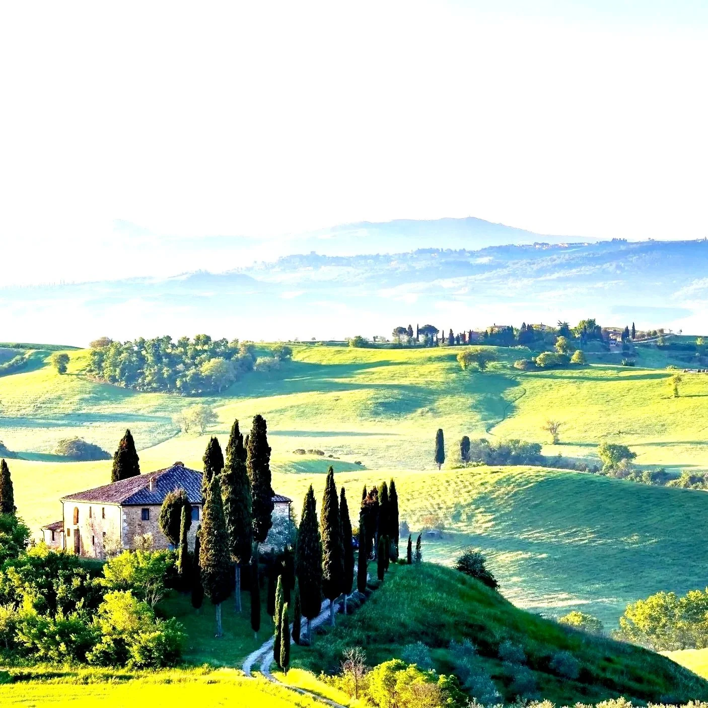Scenic view of a countryside with rolling green hills, a stone farmhouse, and tall cypress trees, with distant mountains in the background under a bright sky.