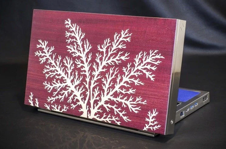 Esprit de Kora, 2013 | Ordinateur d'intérieur | Palmes d’argent palladié sur marqueterie de bois d’amarante | Barrette palladiée | Commande pour Cottin.