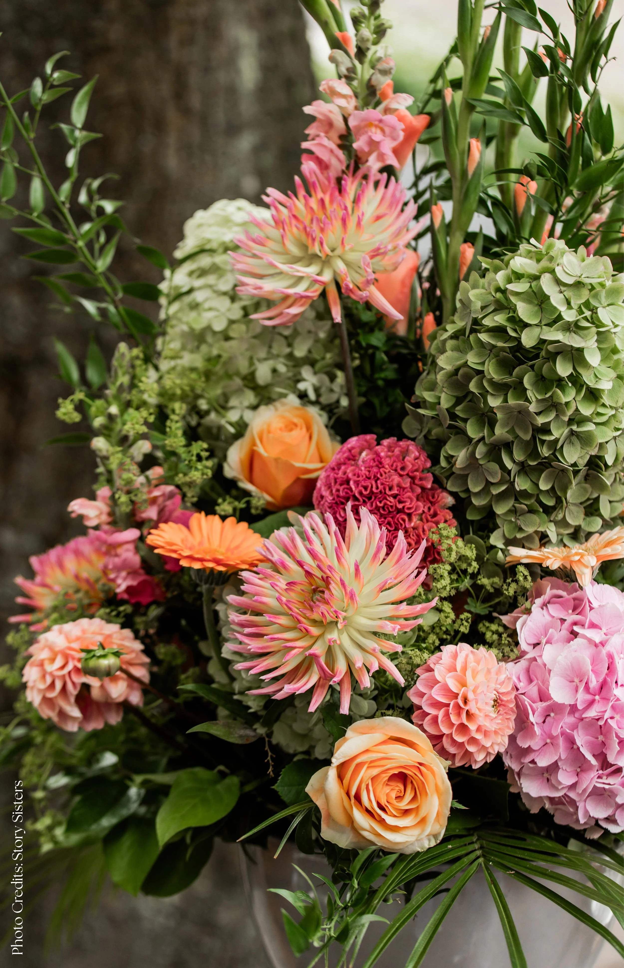 Photo Credits Storiysisters.jpg