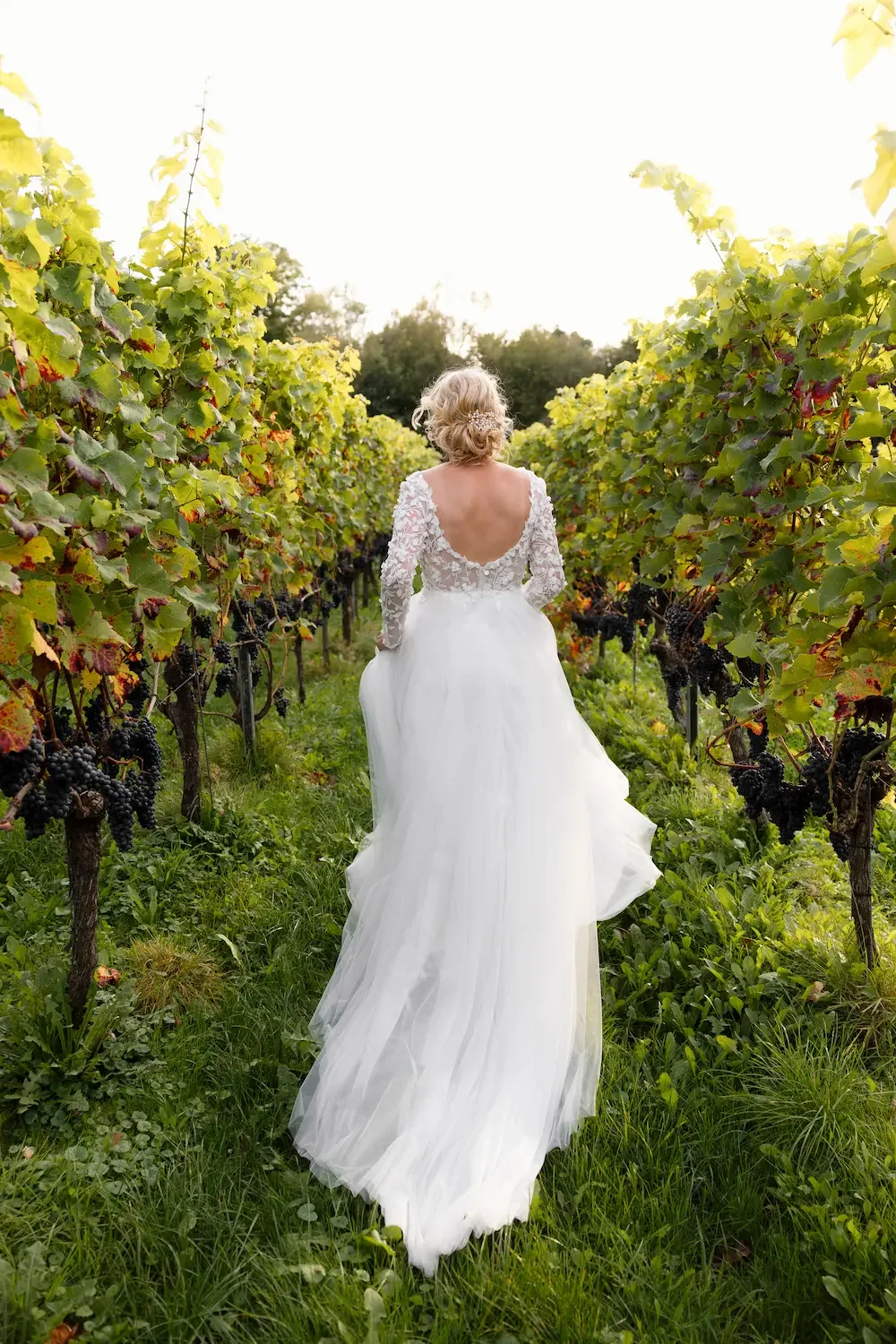 Vineyard-wedding-Frysling-wedding-planner-the-netherlands.webp