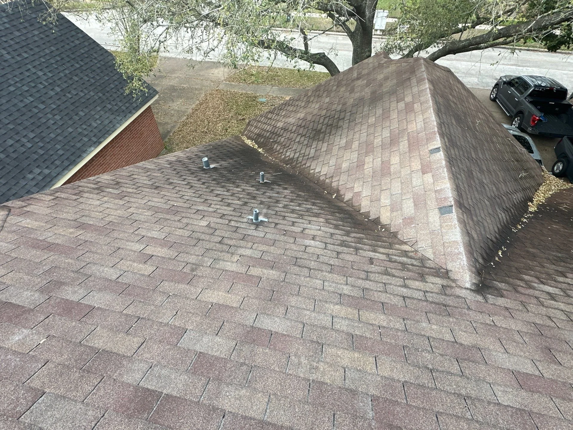 Warbler Ln. Humble, Tx
