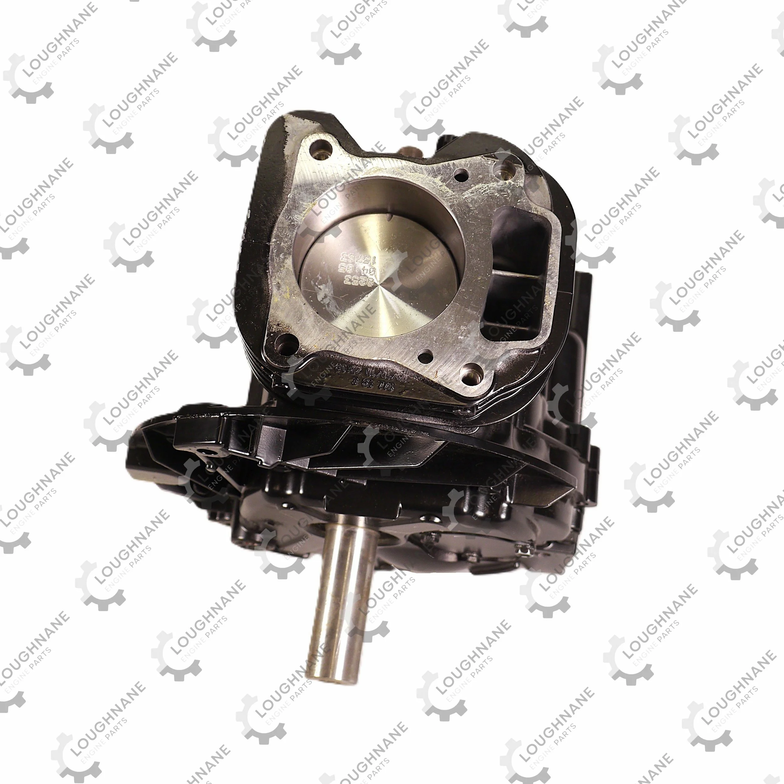 Briggs & Stratton Short Block 797361, 797362, 797363, 797364, 797814
