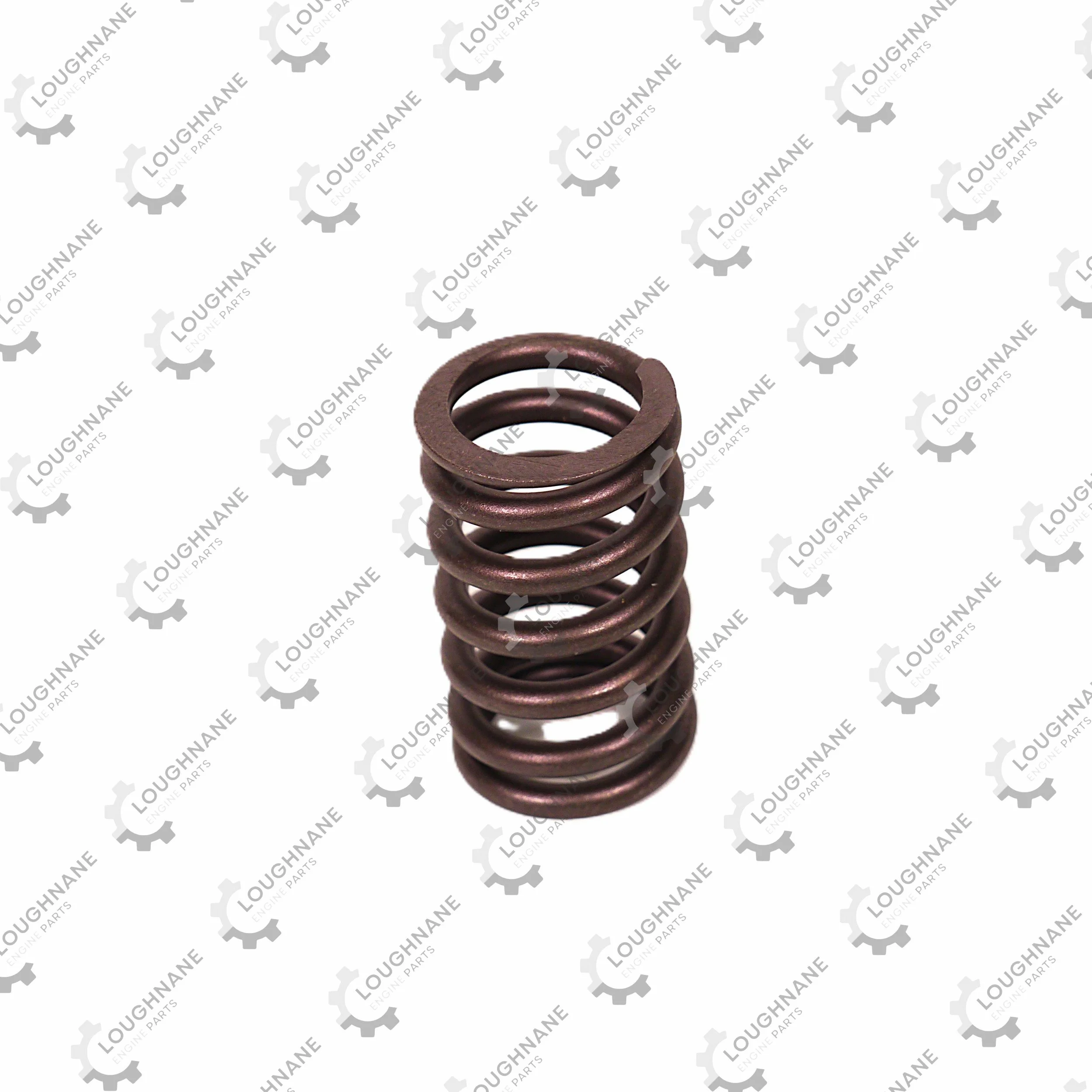 Valve Spring Cummins B Series FP Diesel 3900276