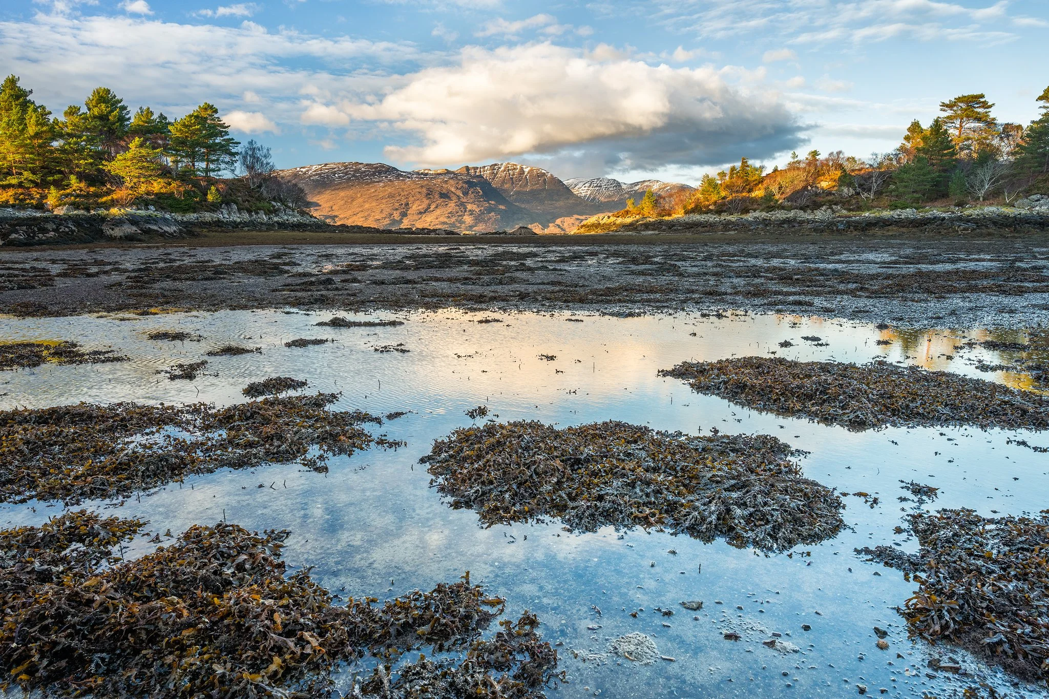 Rudha Mor Plockton