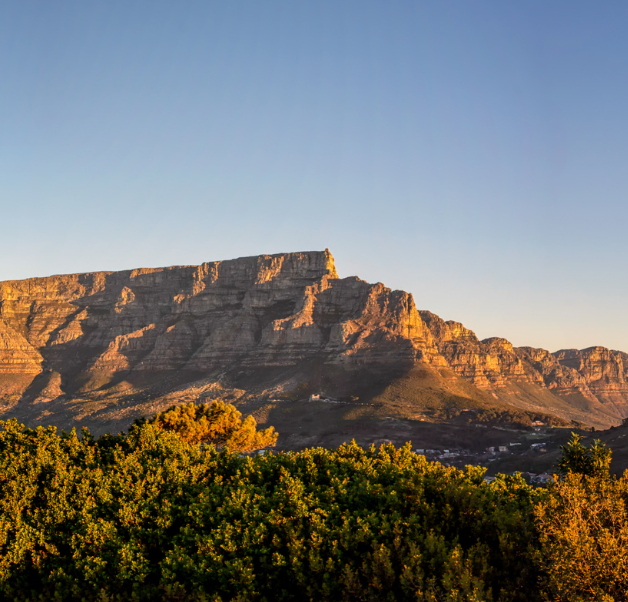 Screenshot 2025-10-21 at 8.32.45 AM.png