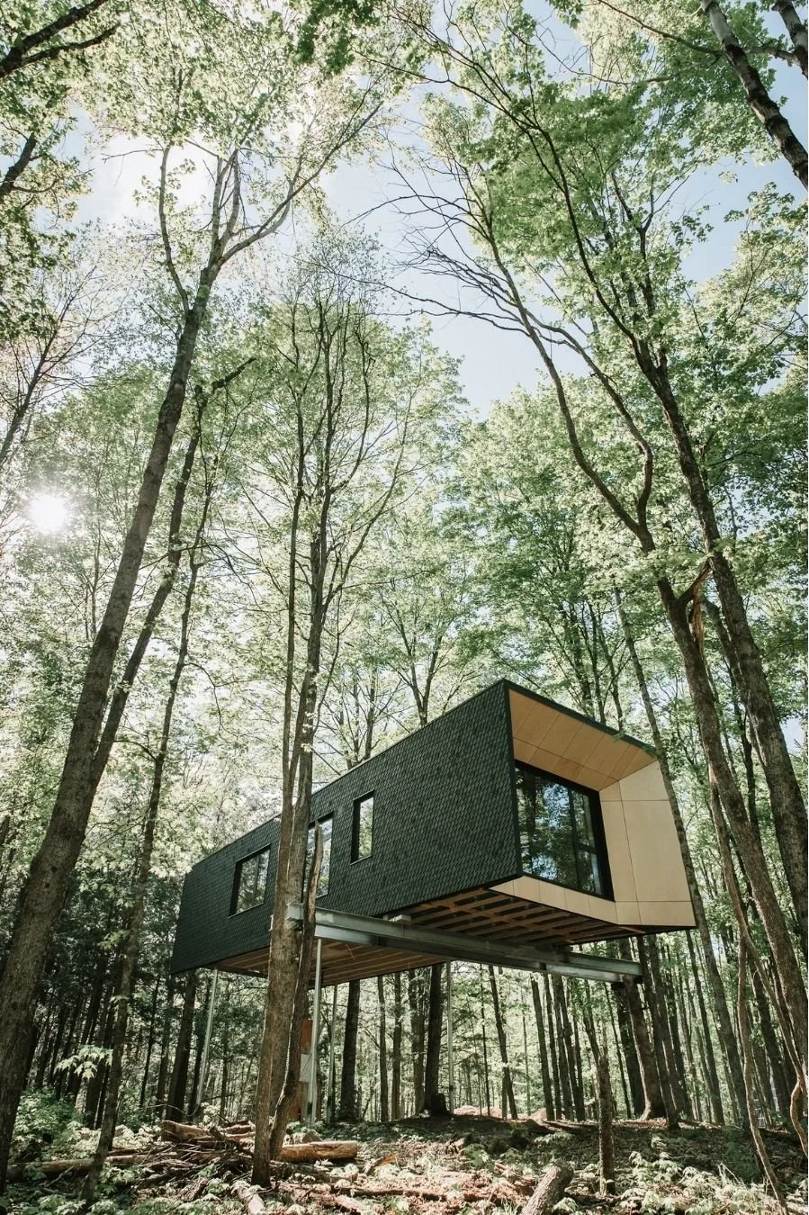 tree house_2.jpg