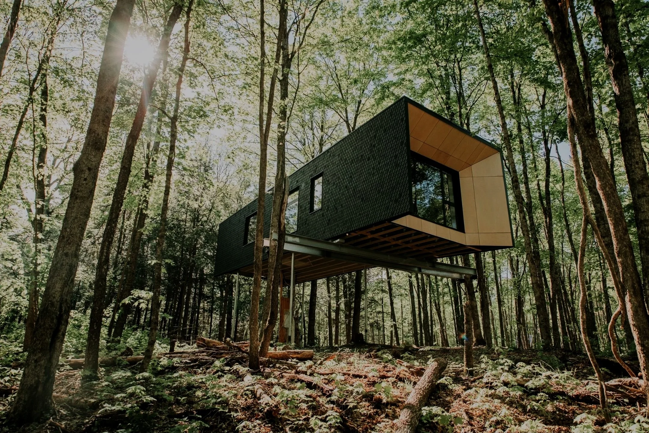tree house_6.jpg