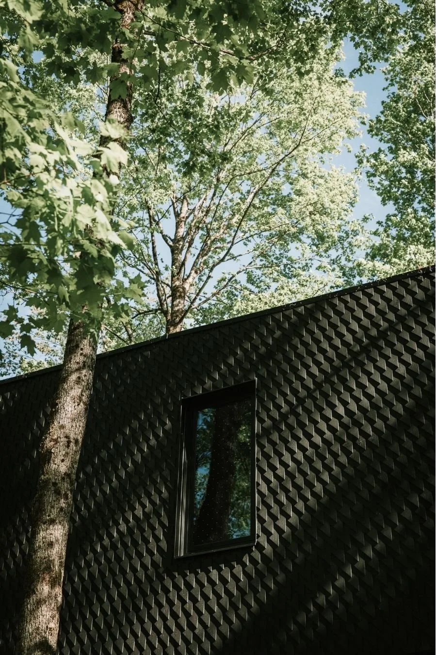 tree house_4.jpg