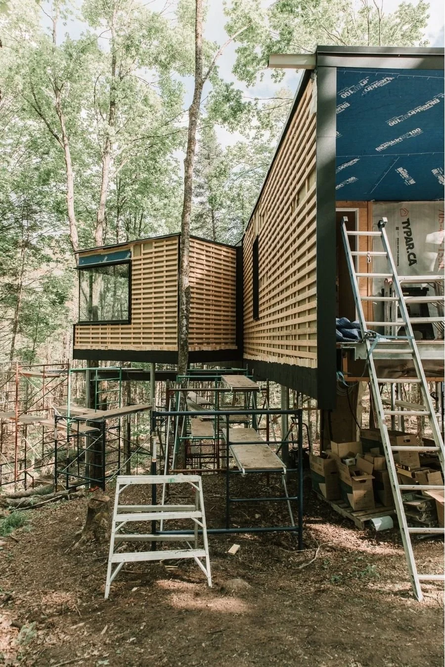 tree house_1.jpg