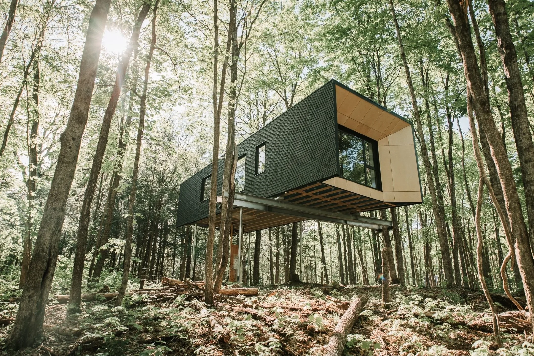 tree house_6.jpg