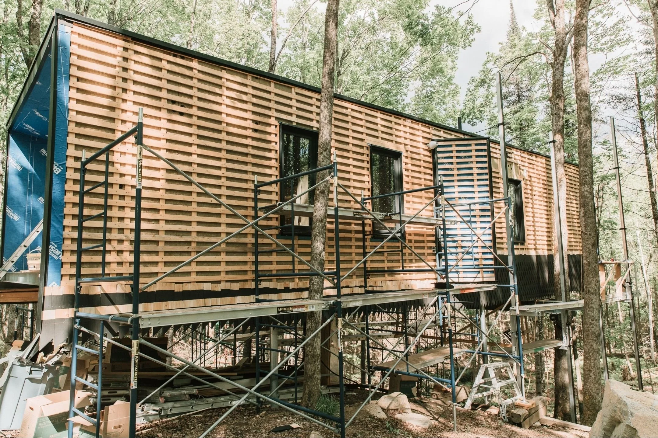tree house_5.jpg