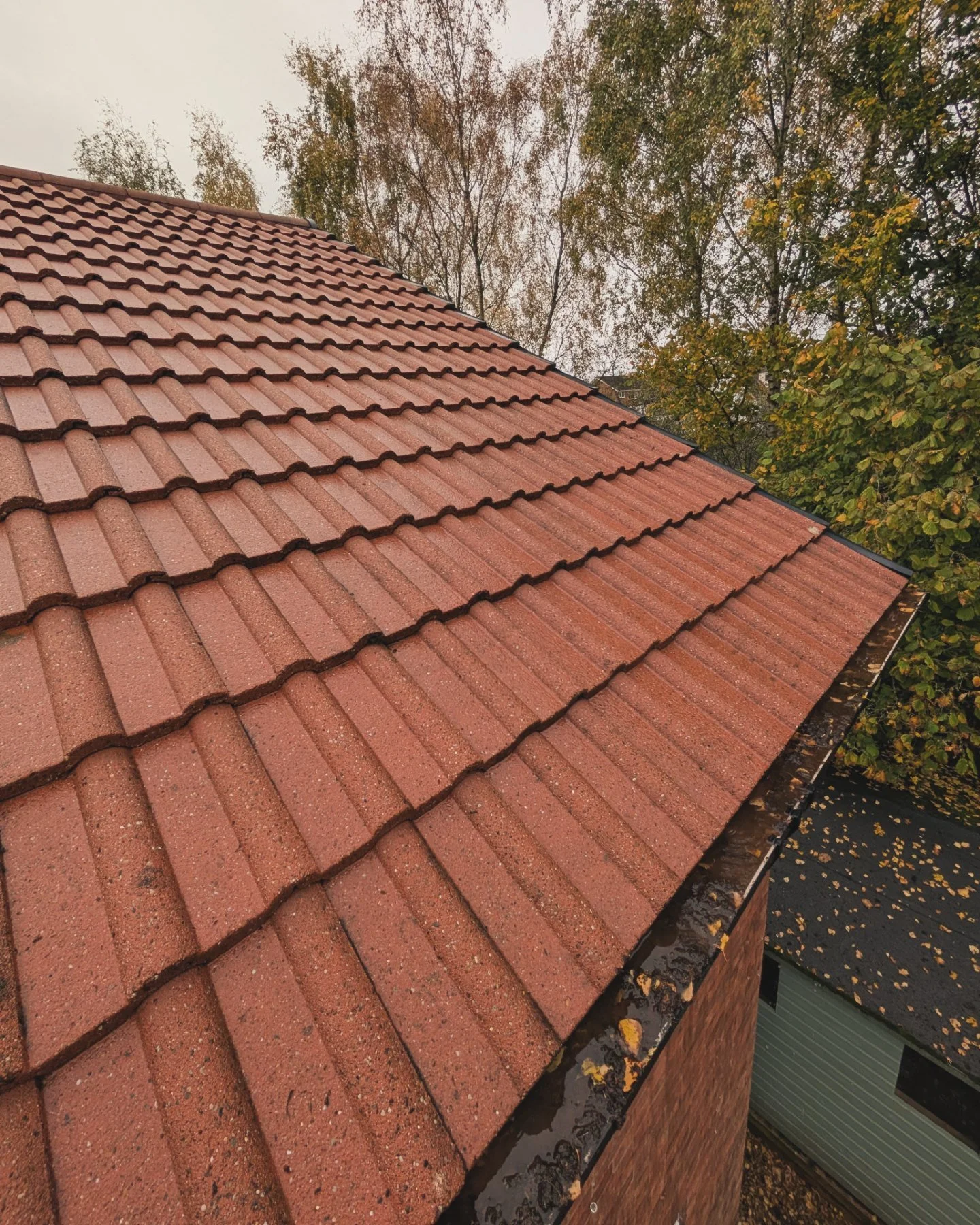 Tiled house roof cleaned and free from moss buildup