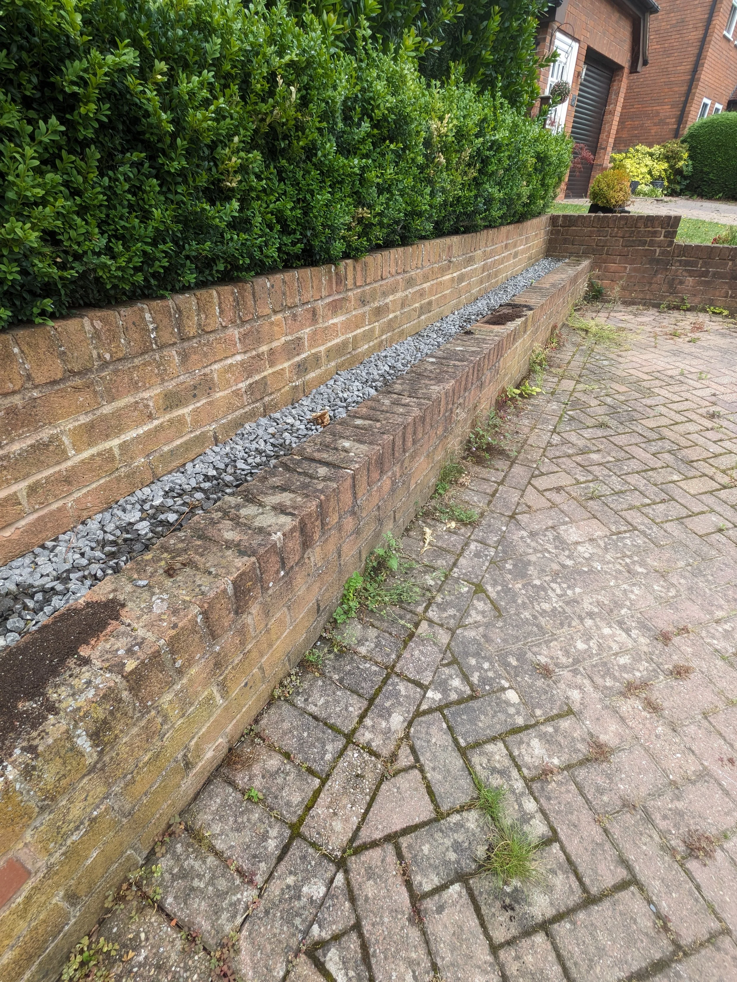 Brick wall with an added layer of small grey rocks and a loose brick, bordered by a paved sidewalk with grass and weeds growing between the bricks, and a row of green hedges in the background.