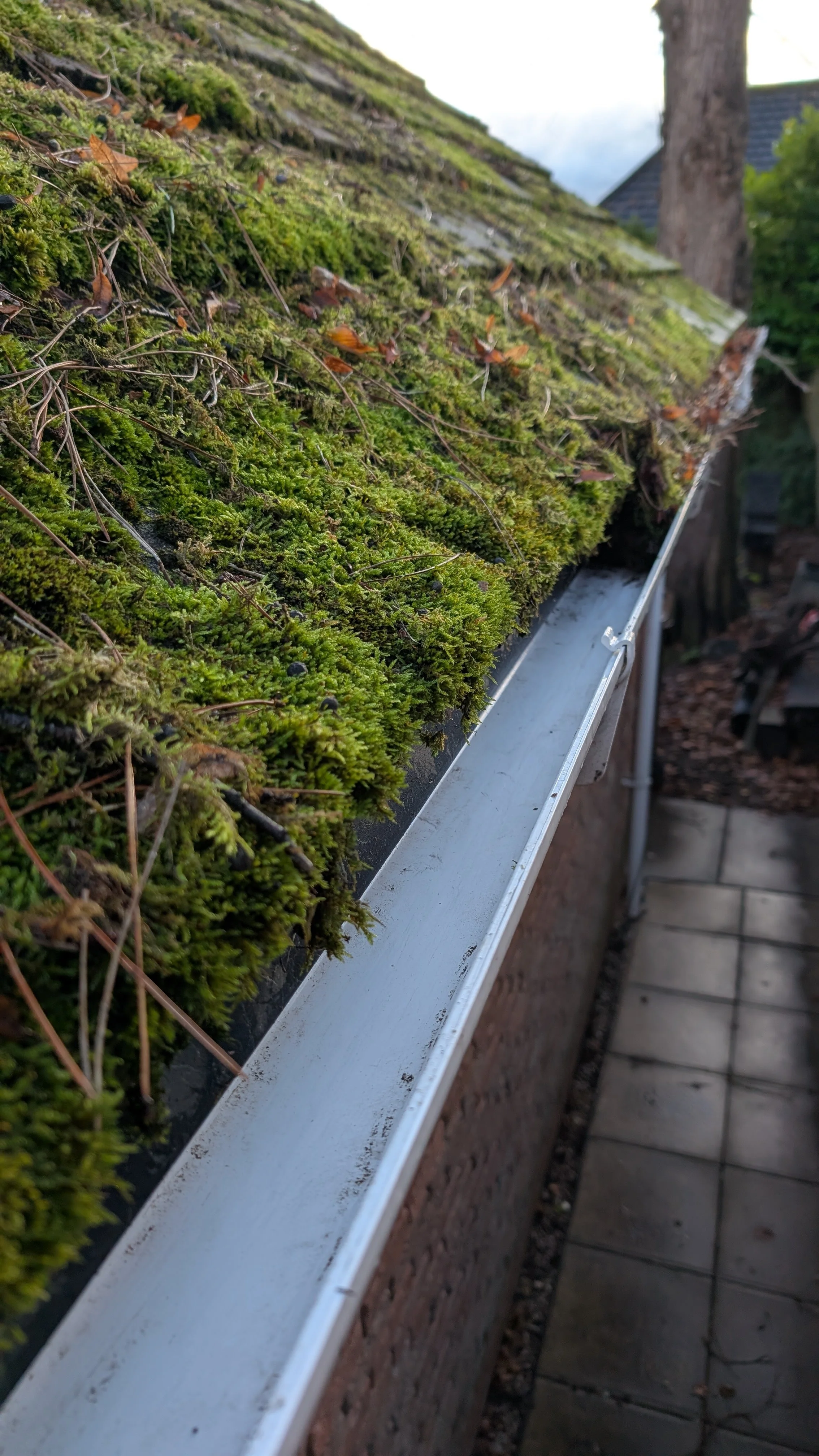 Professional gutter cleaning service on residential property