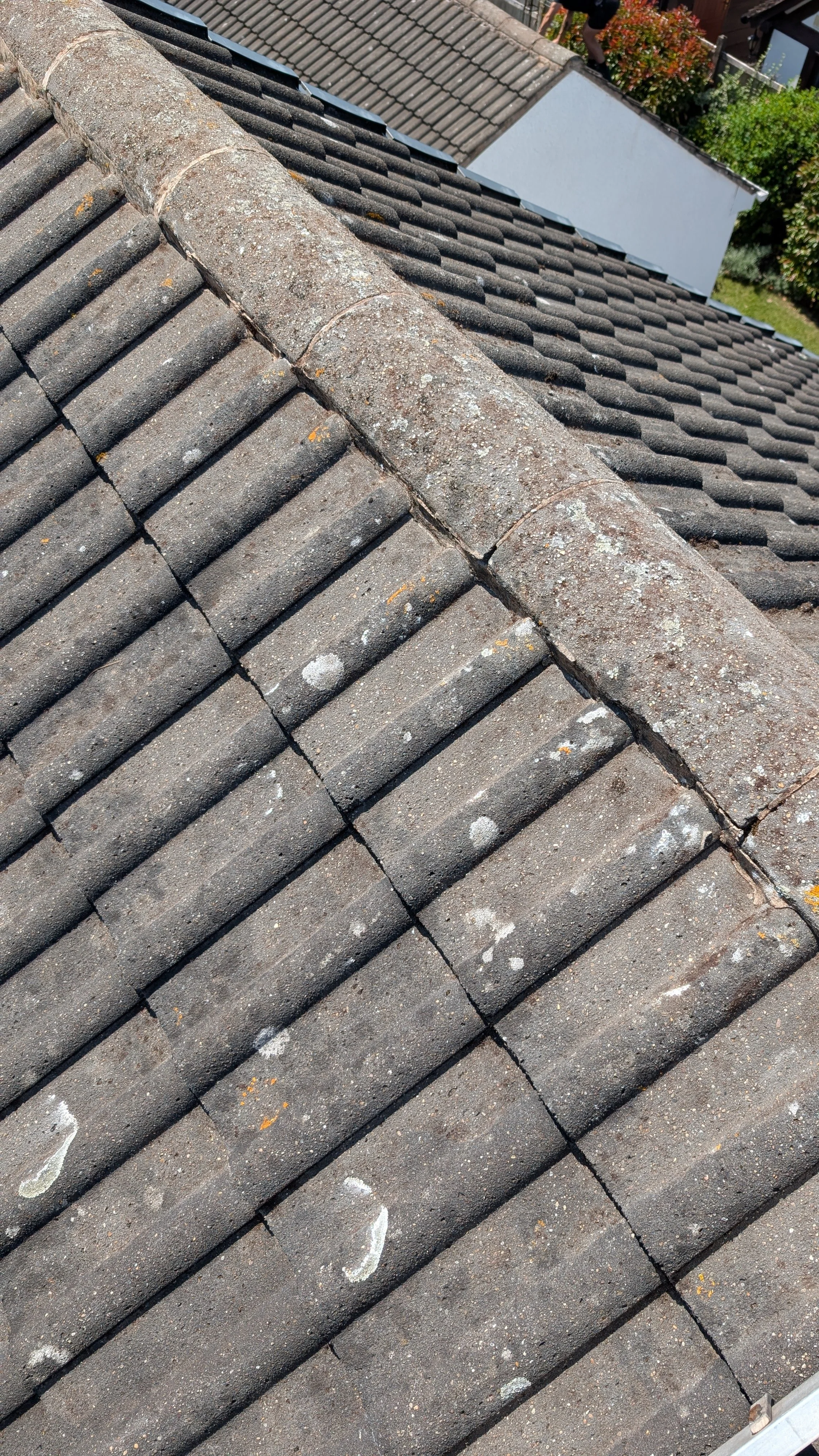 Roof cleaning removing moss and organic growth