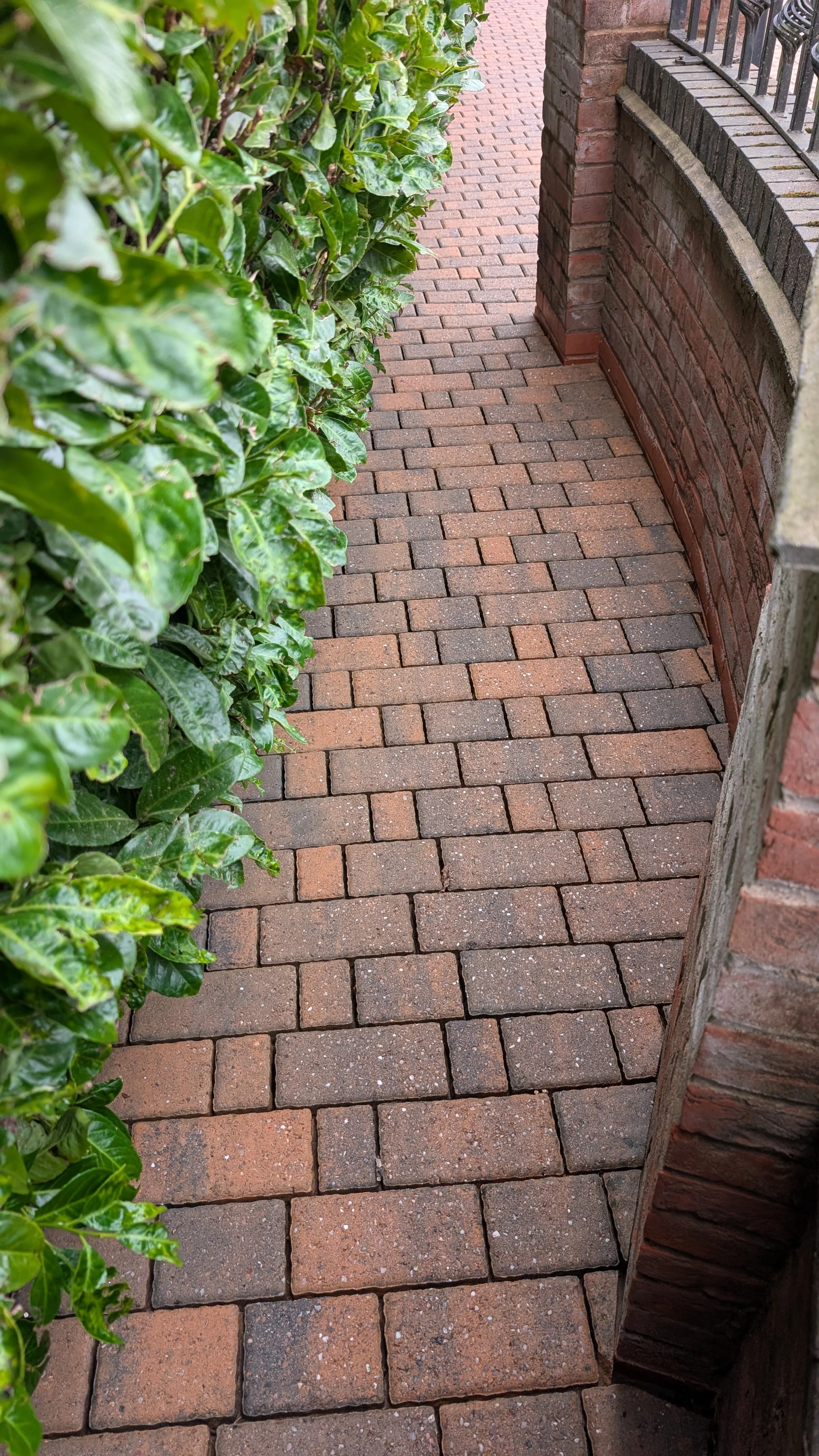 A narrow brick sidewalk with green bushes on the left and a brick wall with a railing on the right.