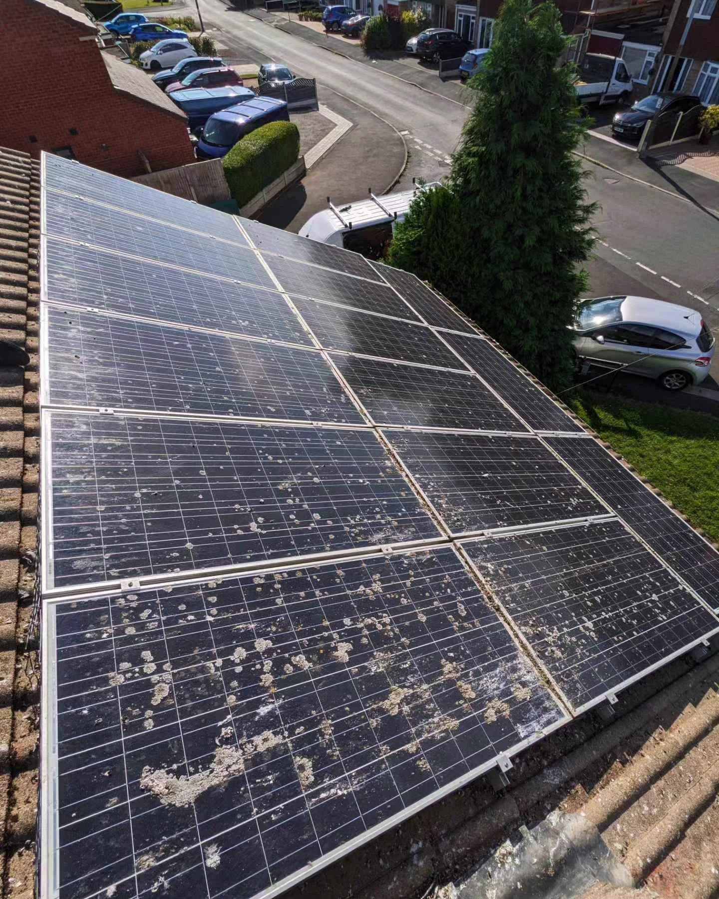 A rooftop with multiple solar panels covered in bird droppings, overlooking a residential neighborhood with parked cars, houses, and a tall evergreen tree.
