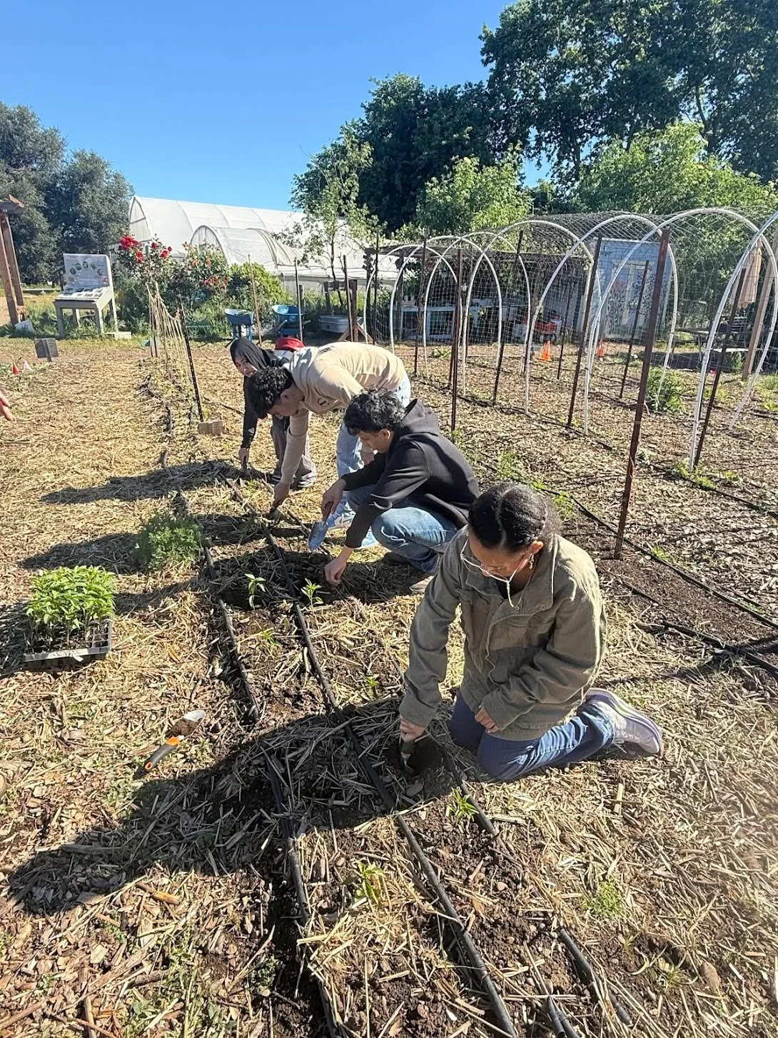 Many of our program volunteers this semester come from our very own internship program - our teens enrolled in the program spend time learning and growing many different skills so they can pour themselves back into their community through our GreenHo