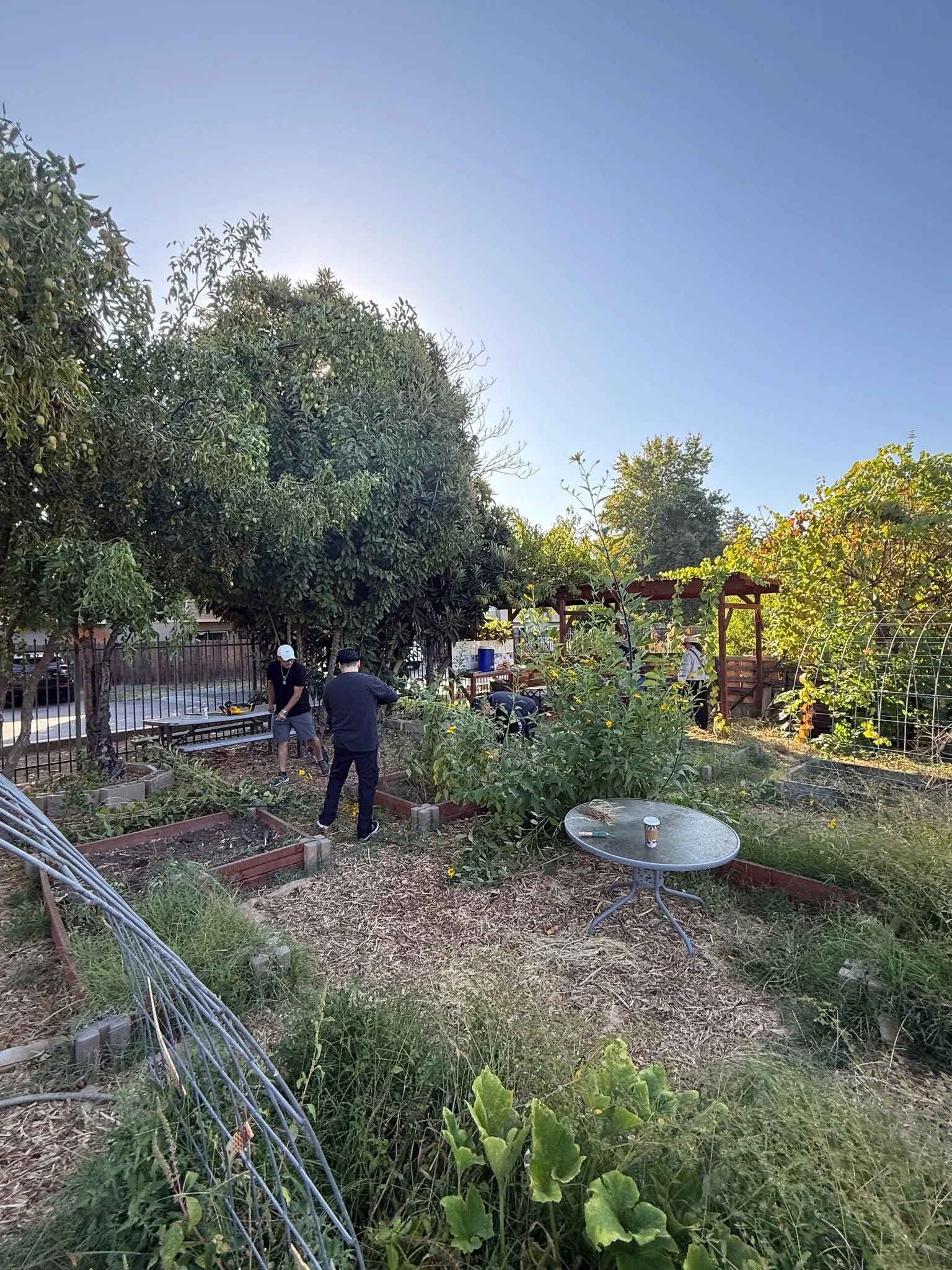 It's planting season again here at The GreenHouse🌽🎋🍁

From volunteers to program participants, we are all out in the garden these days! 

🌱 A little time in the garden can make a big difference. 🌻
There&rsquo;s something special about planting a