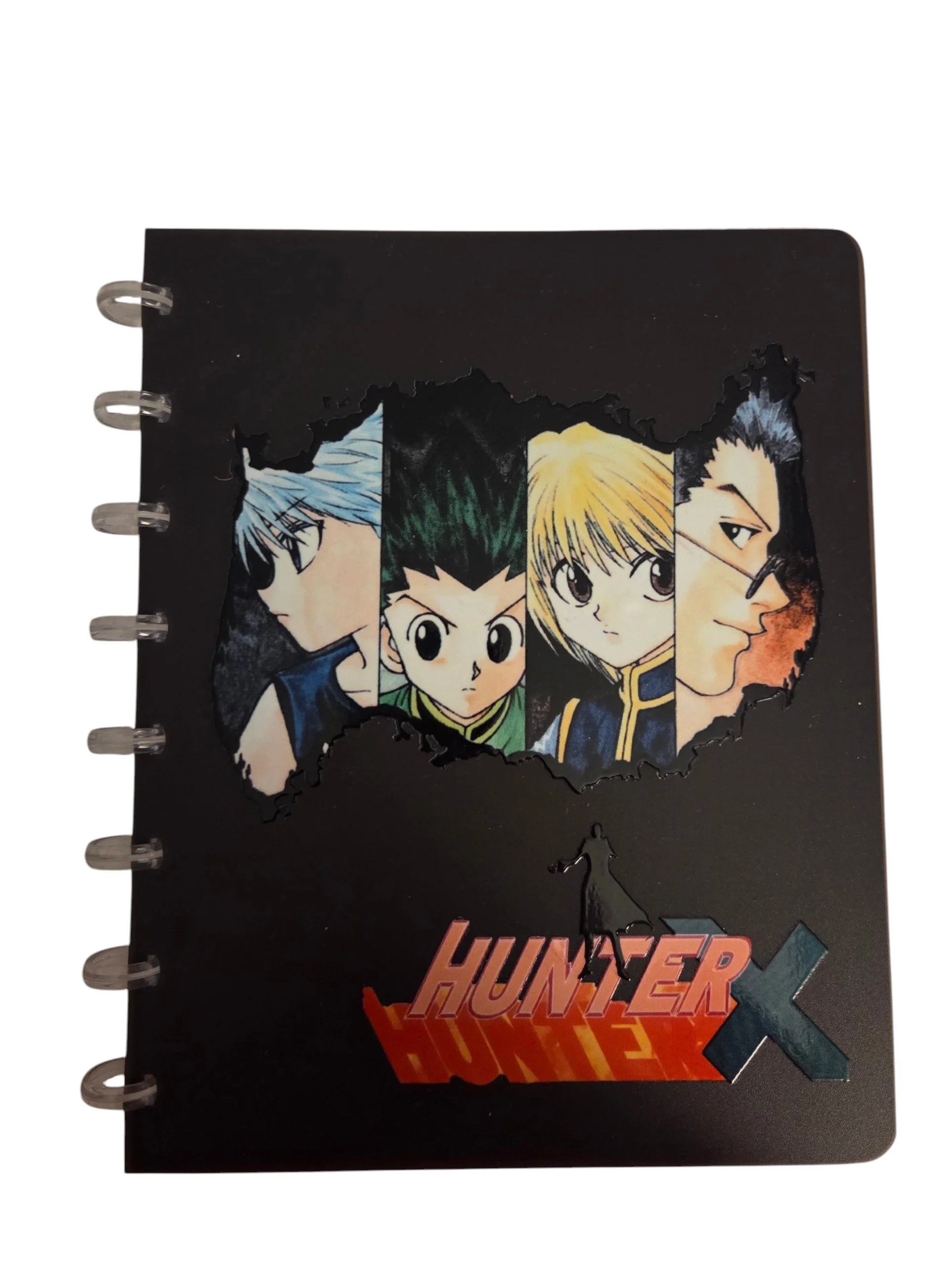 Hunter X Hunter