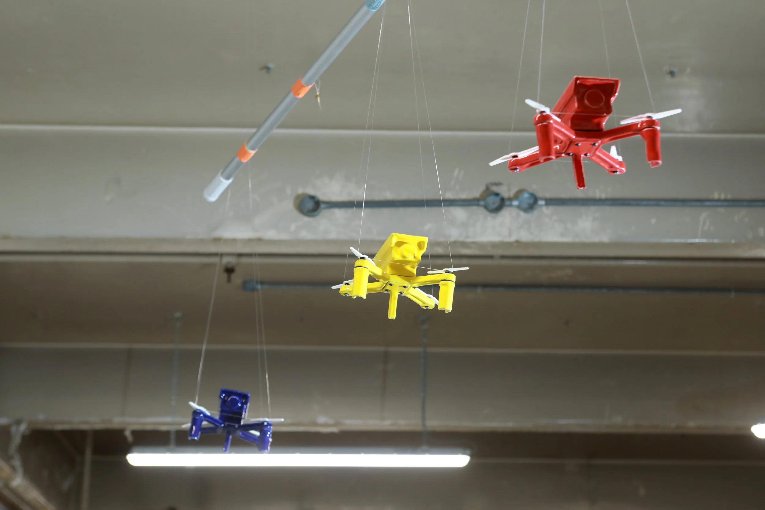 Did That Really Happen (2).jpg